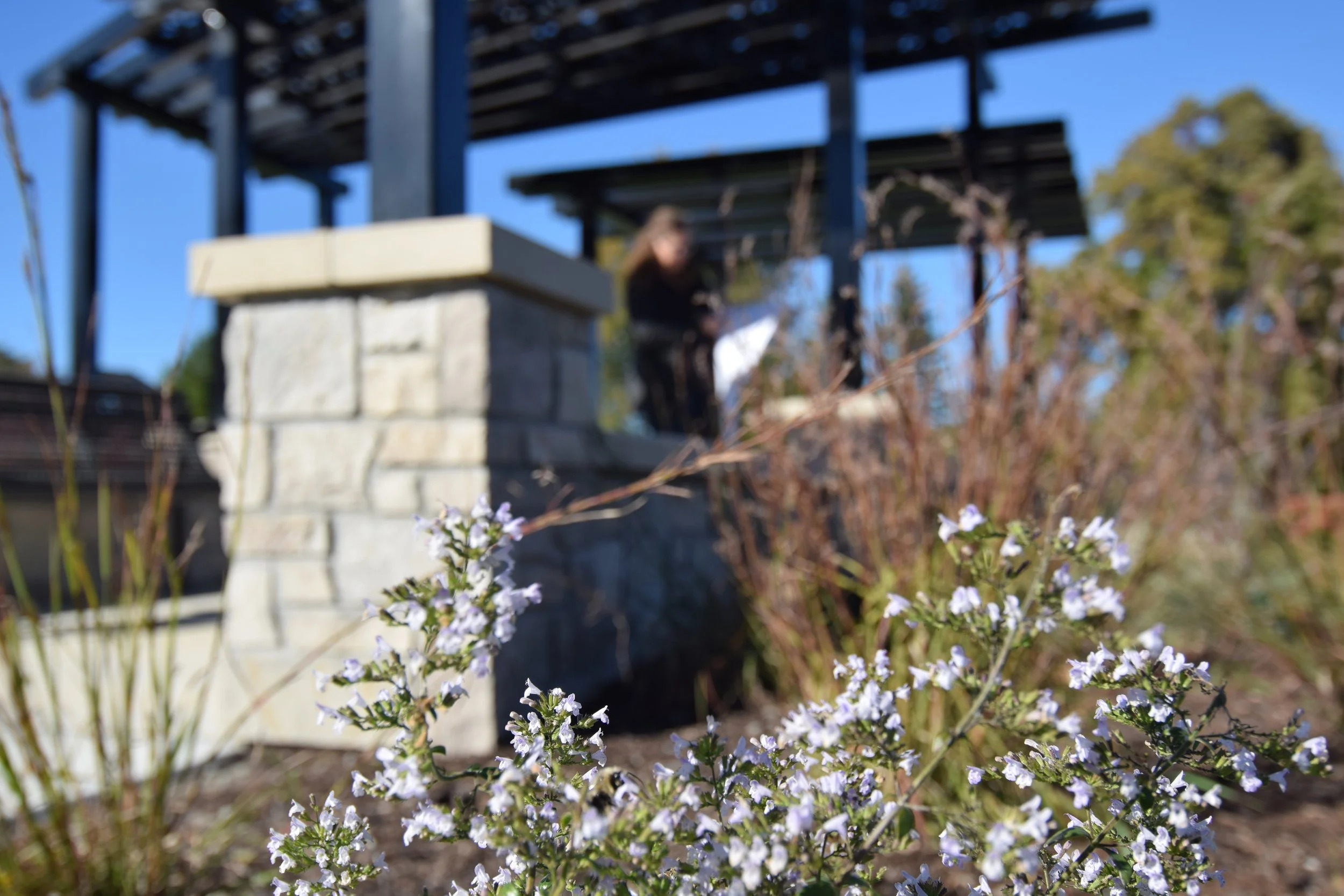 Revisiting our values.