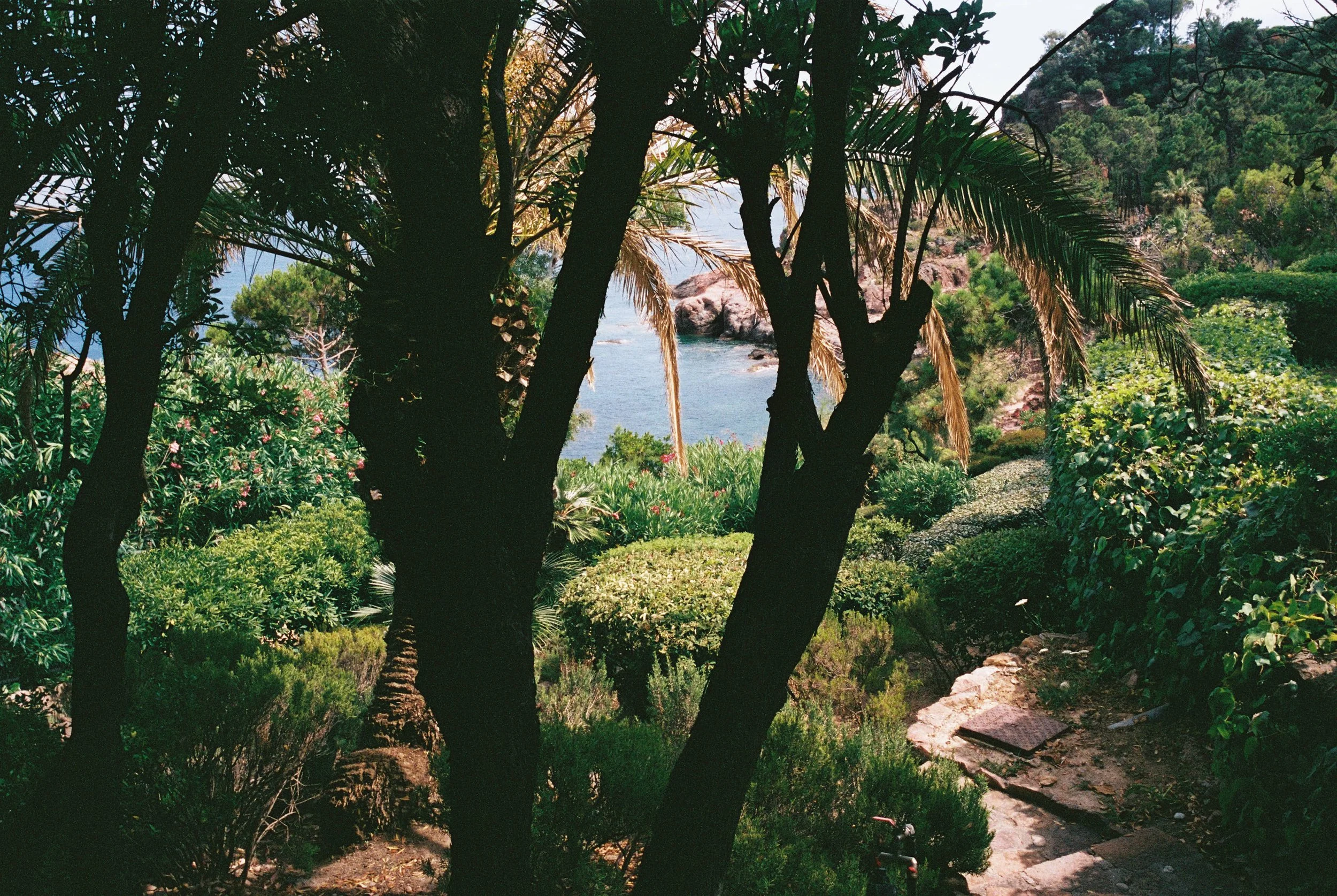 B000016-R1-03-5A.jpg