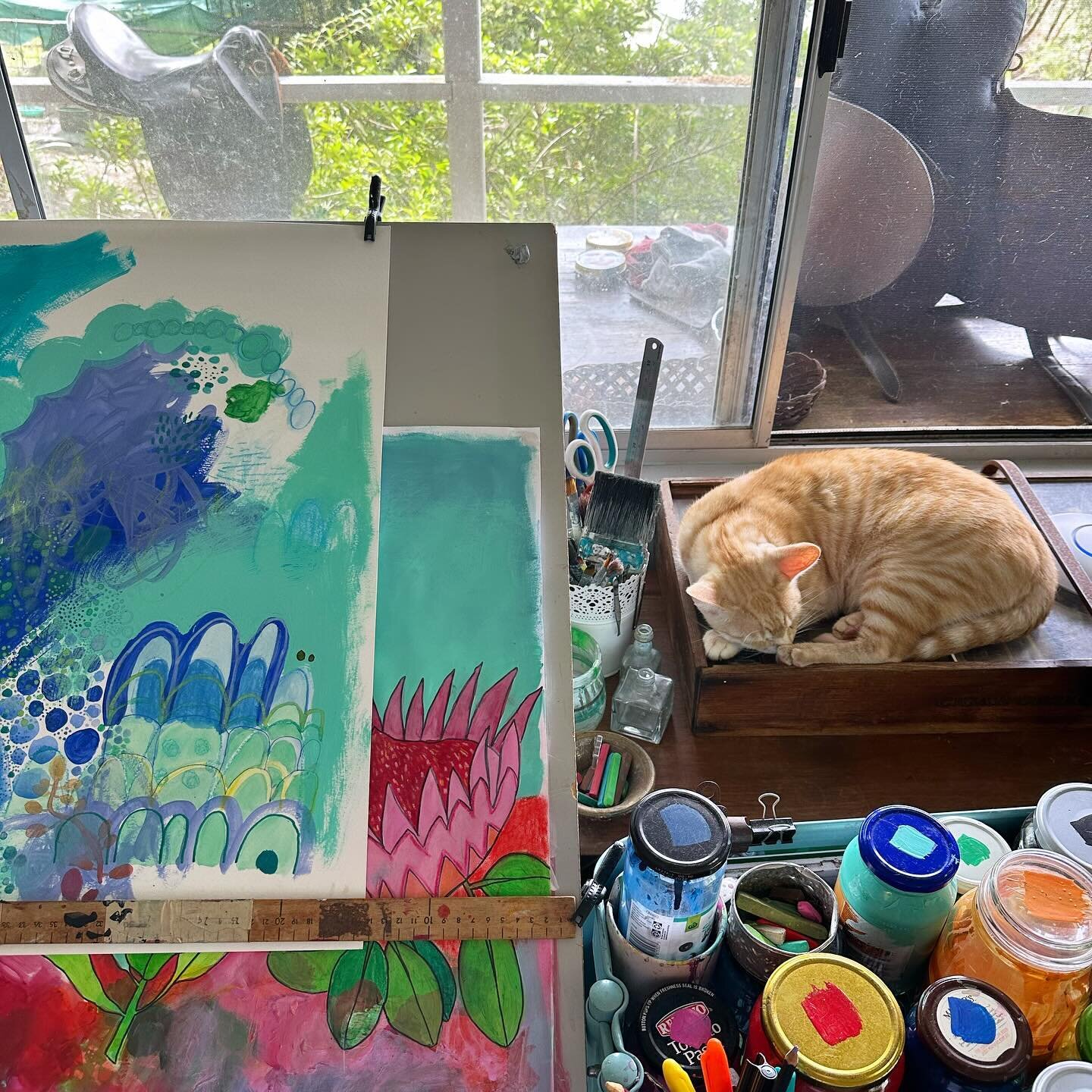 A few of my favourite things..
🎨 🌱 🐈