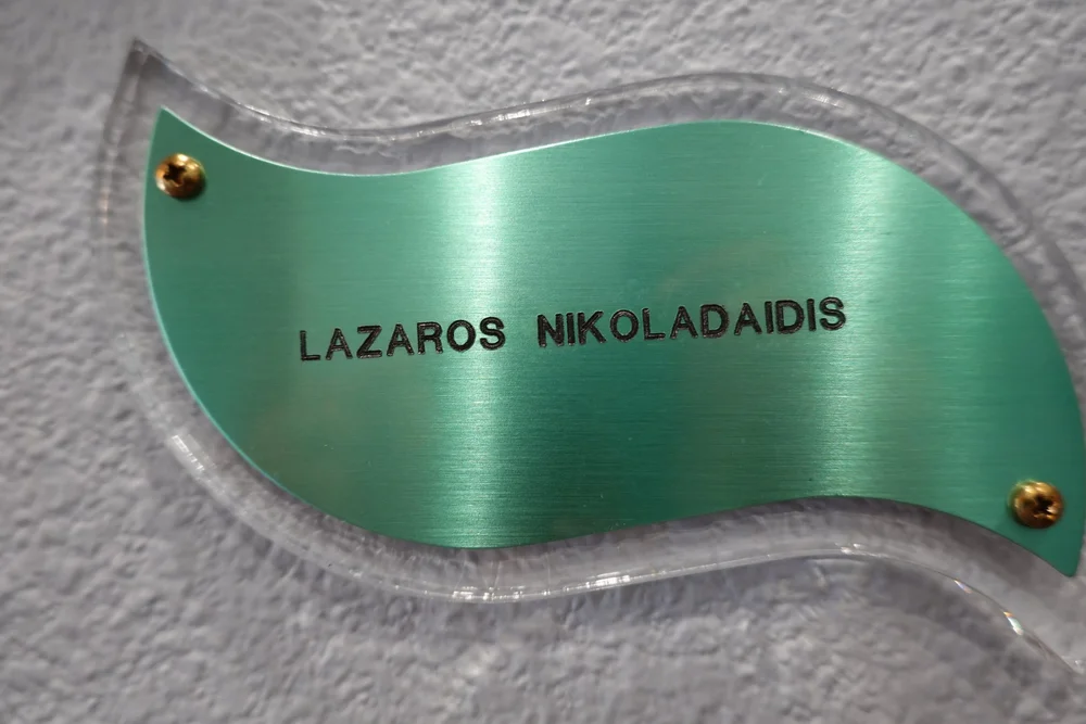 07-24-2024 Nikoladaidis leaf.JPG
