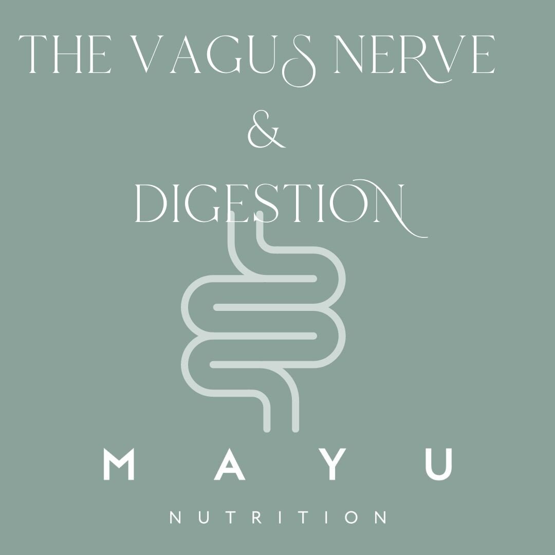 The vagus nerve (VN) represents the main component of the parasympathetic nervous system (rest &amp; digest state), which oversees a vast array of crucial bodily functions, including control of mood, immune response, digestion, and heart rate. It est
