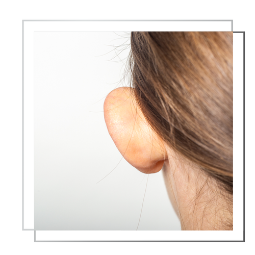 Face Procedures — Virginia Plastic Surgery | Where You Are The VIP