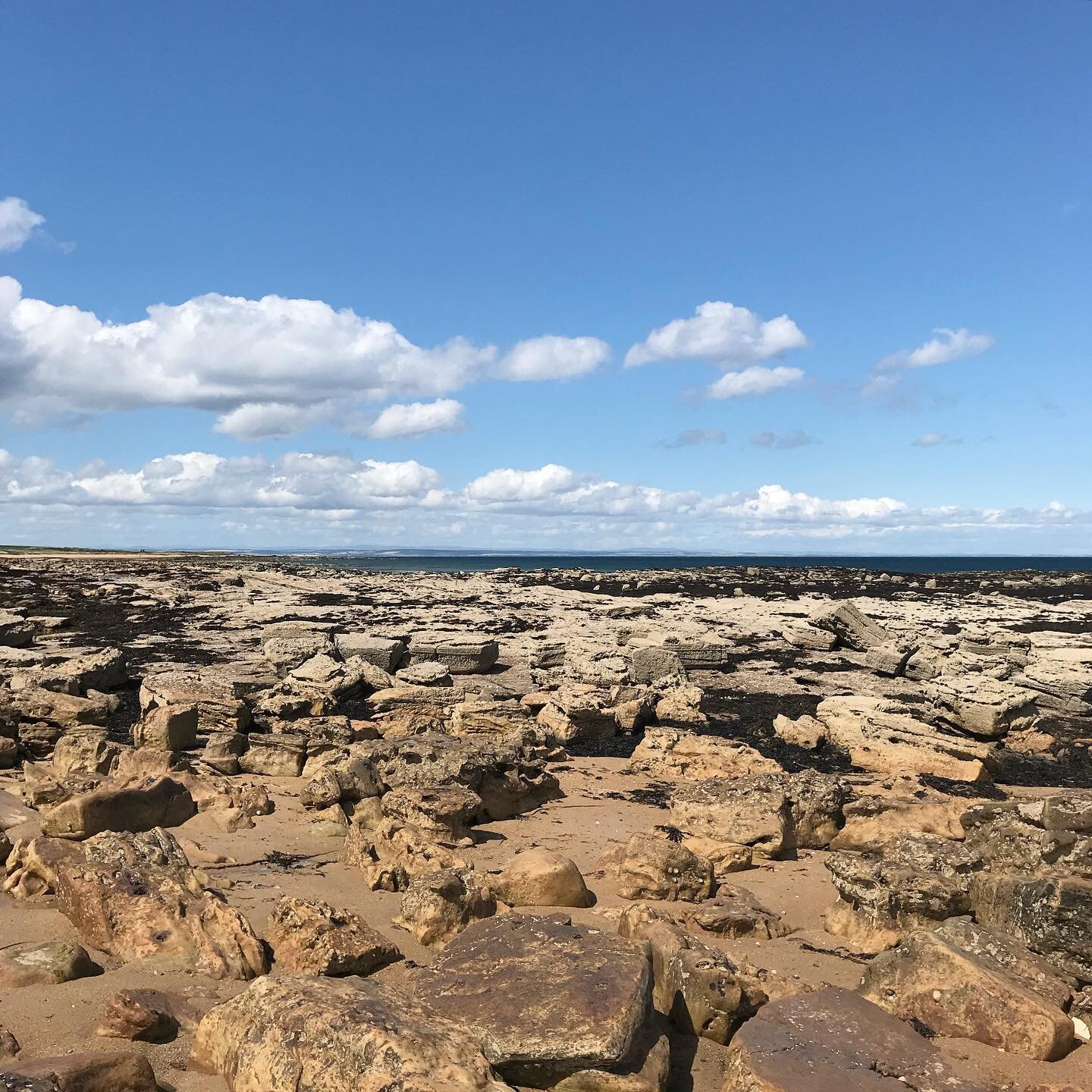 Kingsbarns beach, Fife.
Rocky outcrops and Carboniferous fossils. 
Textural landscape inspiration. 
#inspiration #landscape #fifecoast #inspiredbynature #texture #imprints #kingsbarns #fossils #scottishjewellery