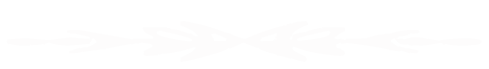 fun.png
