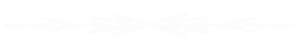 fun.png