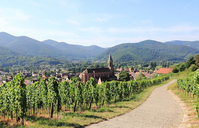 L’authentique route des vins
