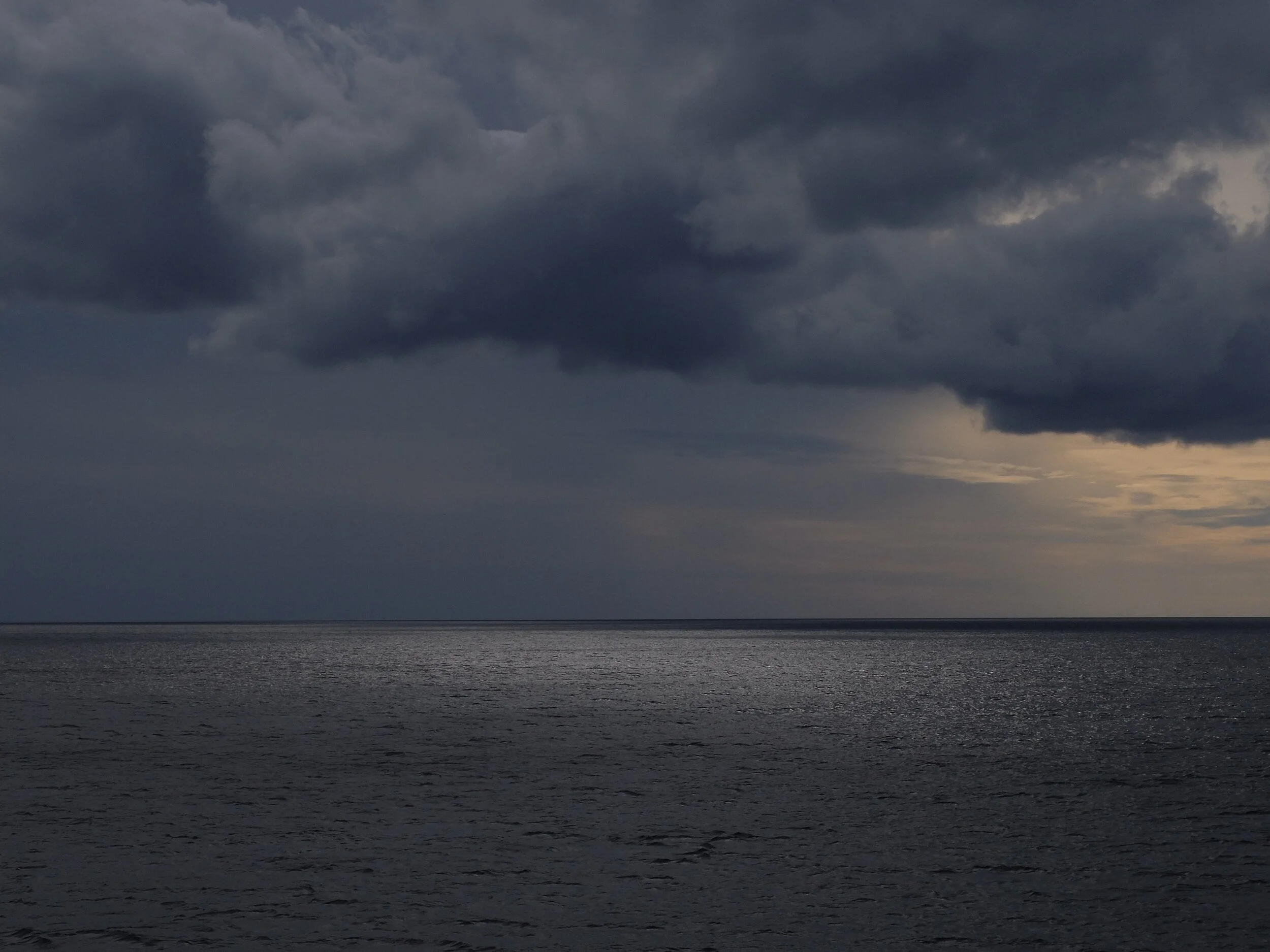 Photography by Aimee Coulshed