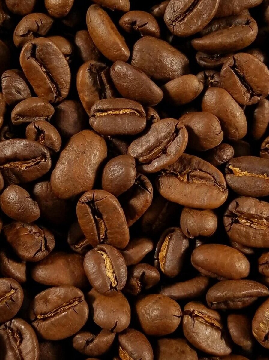 Strongtree Coffee Roasters