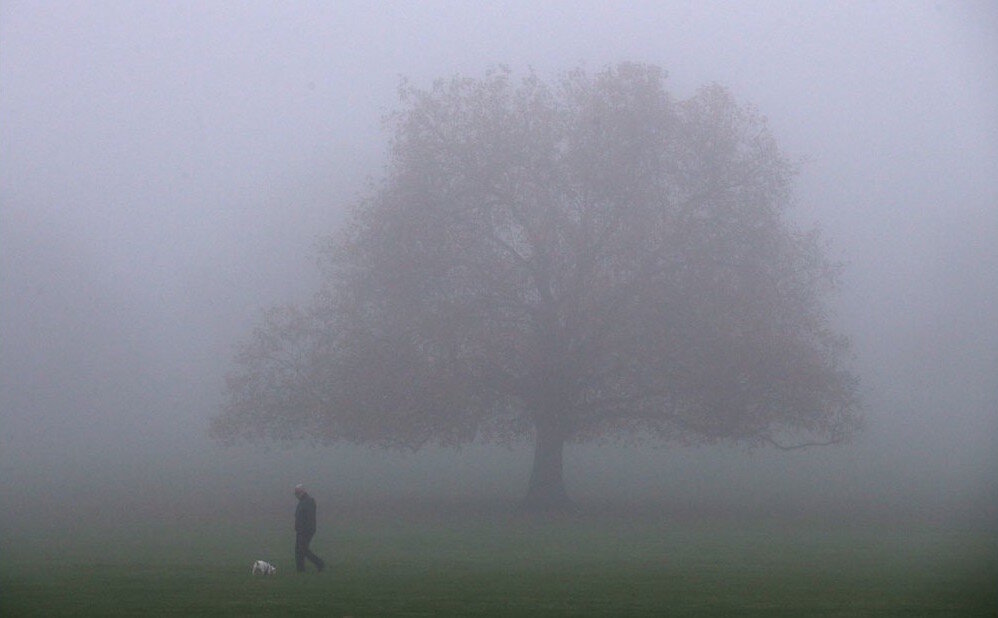 Walking Through Mist