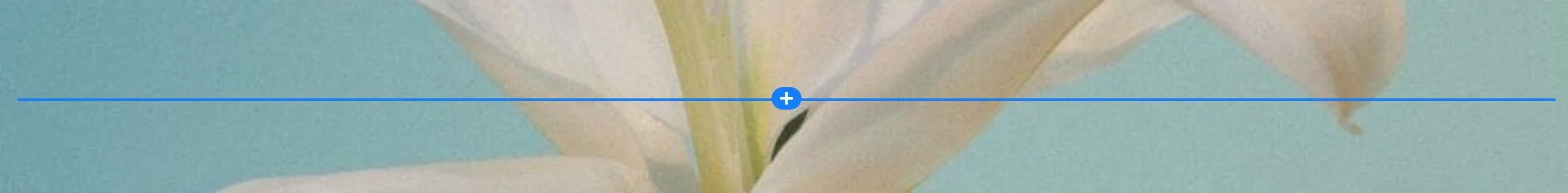 + plus icon to adding a code block to a Squarespace web page