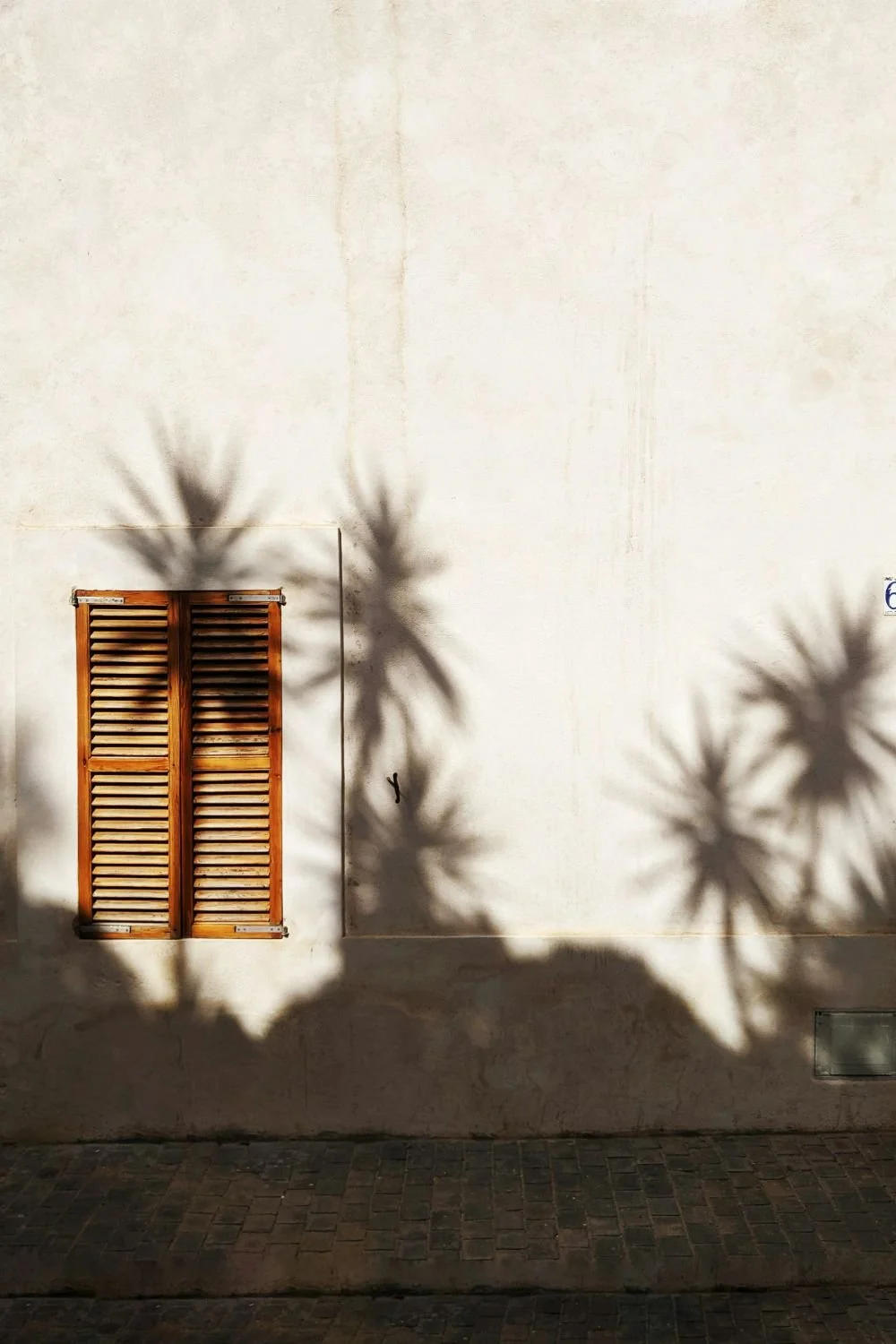 palm tree shadows exterior Andalucía template
