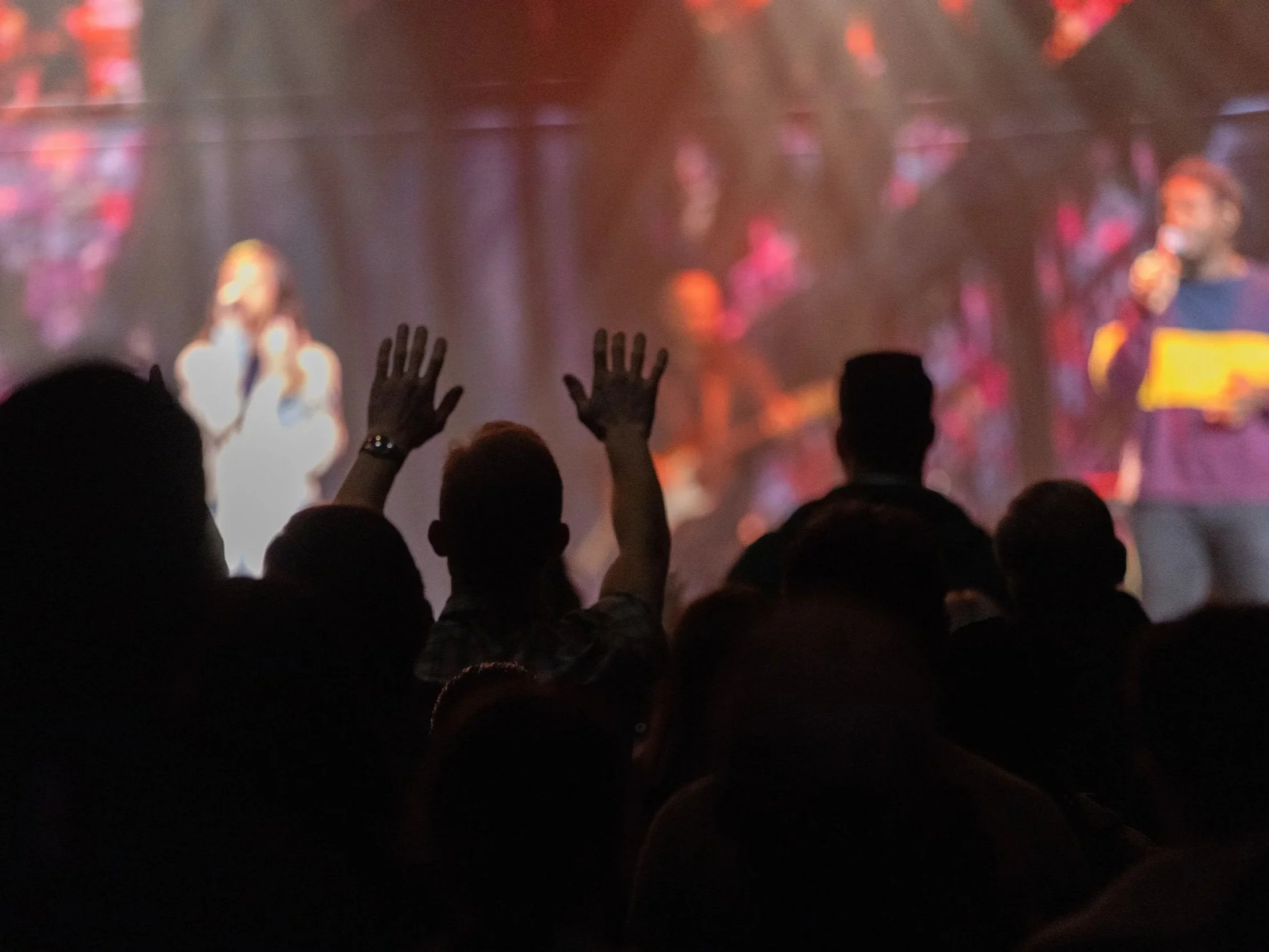 Creek Connection – 02/01/26