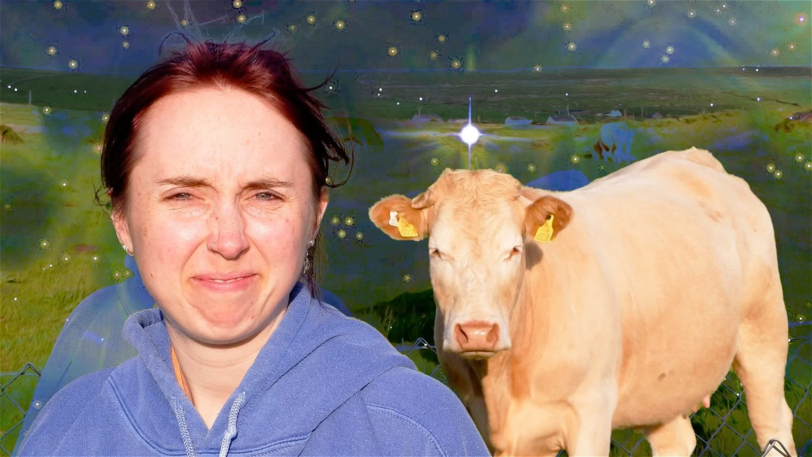 Shannon Brooke: A Horseless Rodeo