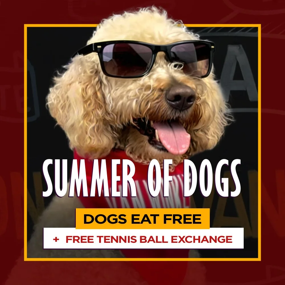 Summer of Dogs at Van Winkle