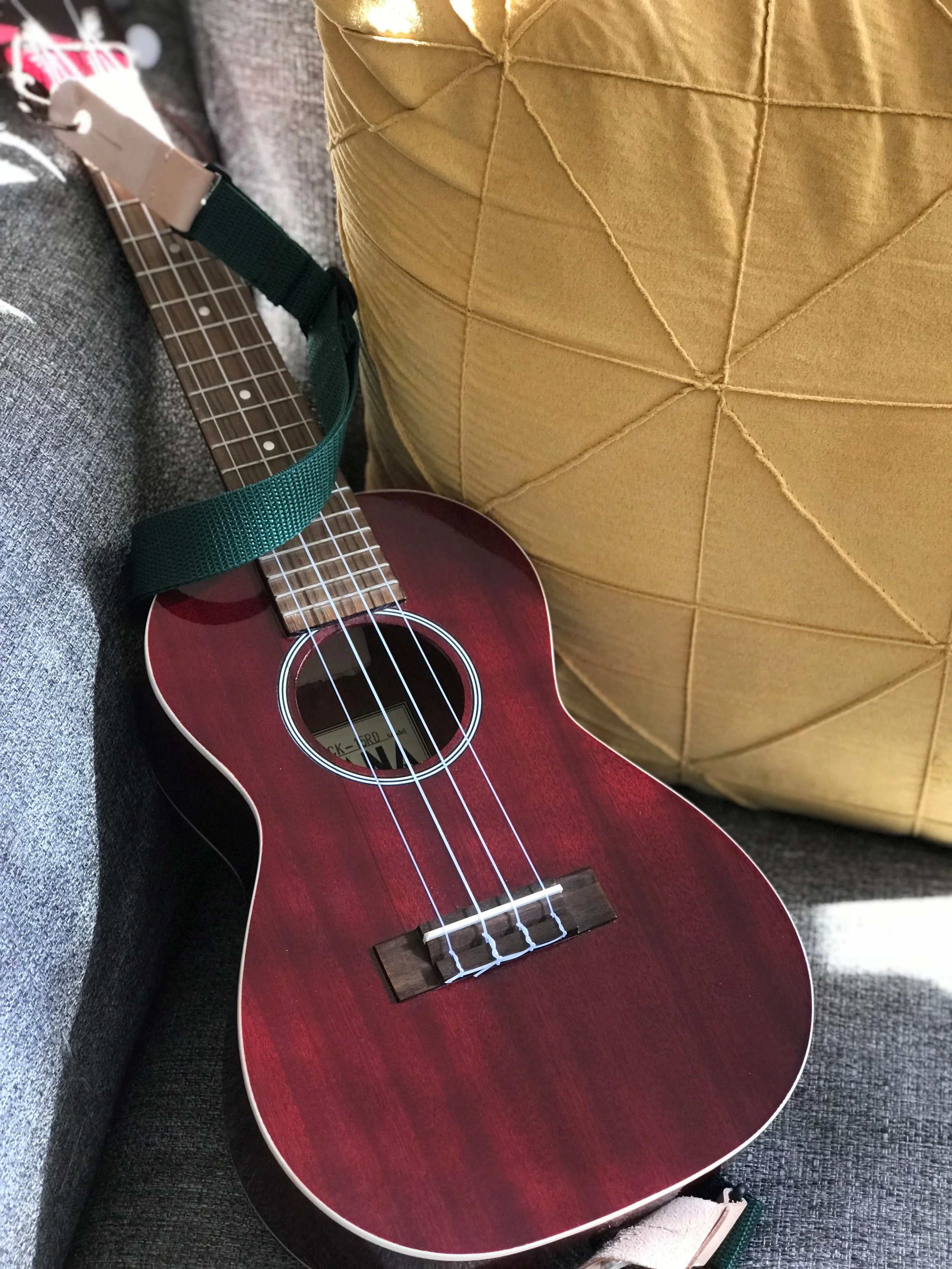 The Briggs-sized guitar