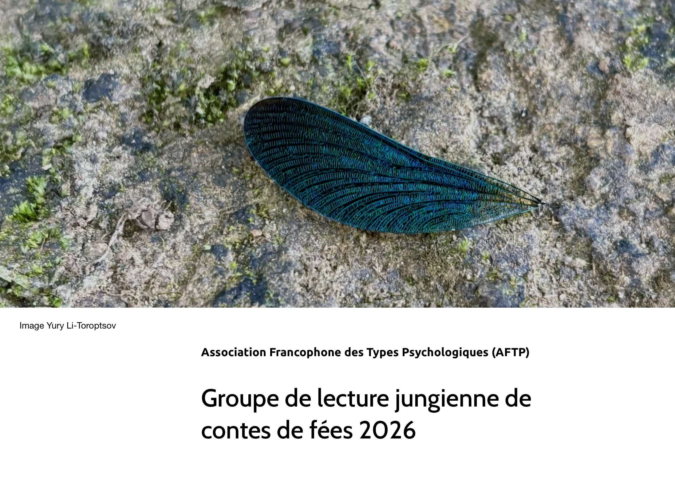 Groupe de lecture jungienne de contes de fées
