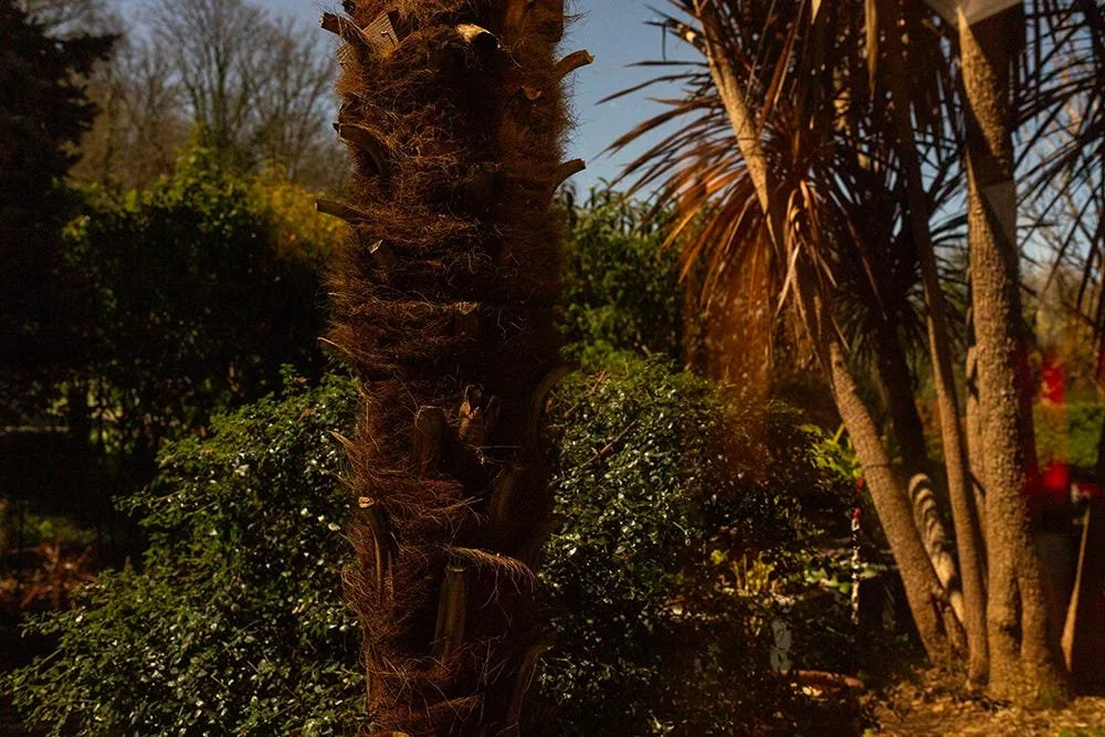 Sunlight and Moonlight. On consciousness, the unconscious, and two ways of seeing.