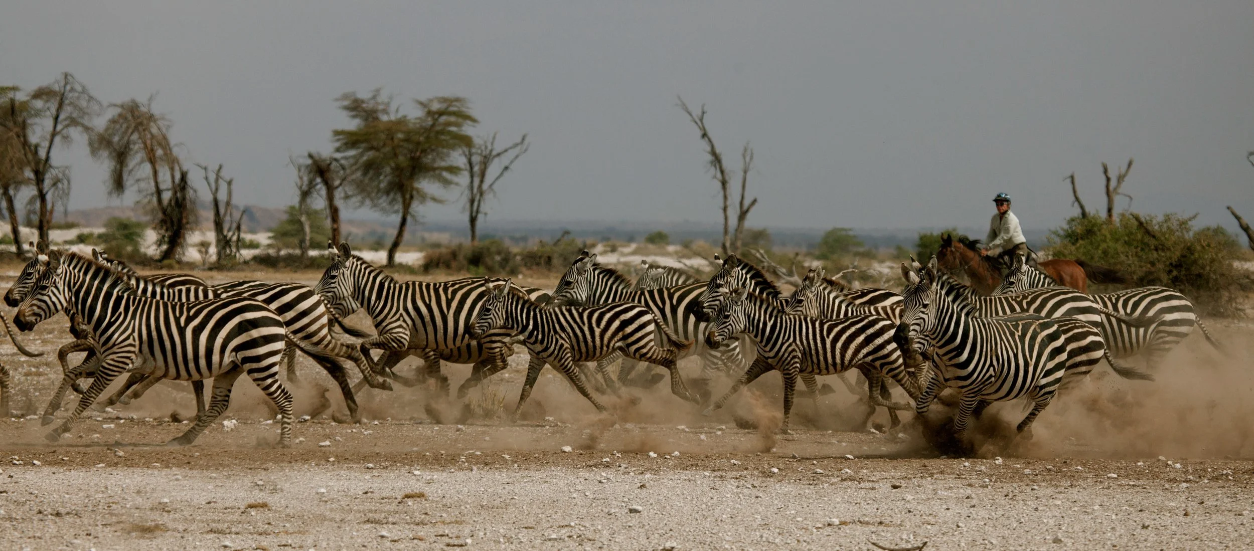 Ph. Credit: Tanzania Horse Safaris and Francesca Avventi