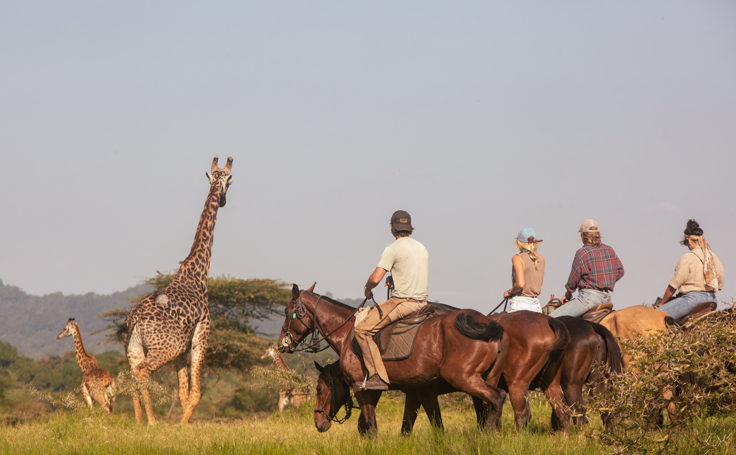 Ph. Credit: Tanzania Horse Safaris and Francesca Avventi