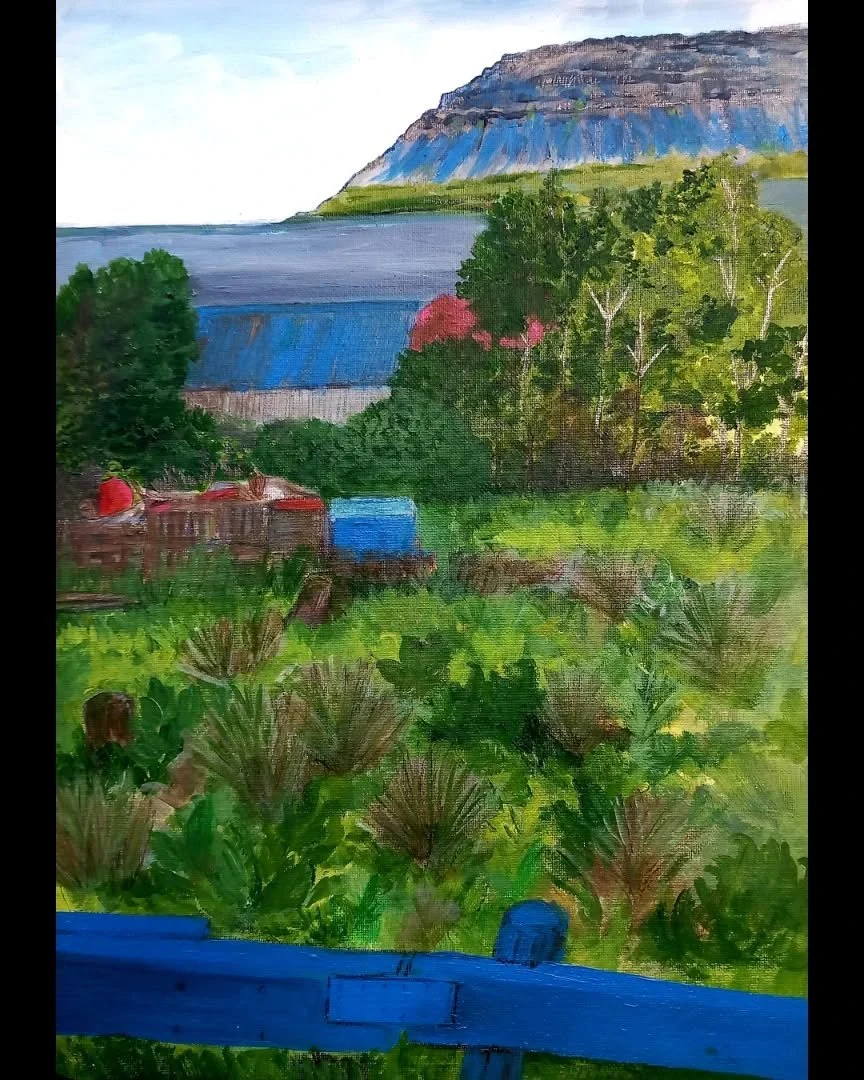 A backgarden in Bildudalur in the Westfjords last Summer. A must visit in the village is the Monster Museum, brilliant!