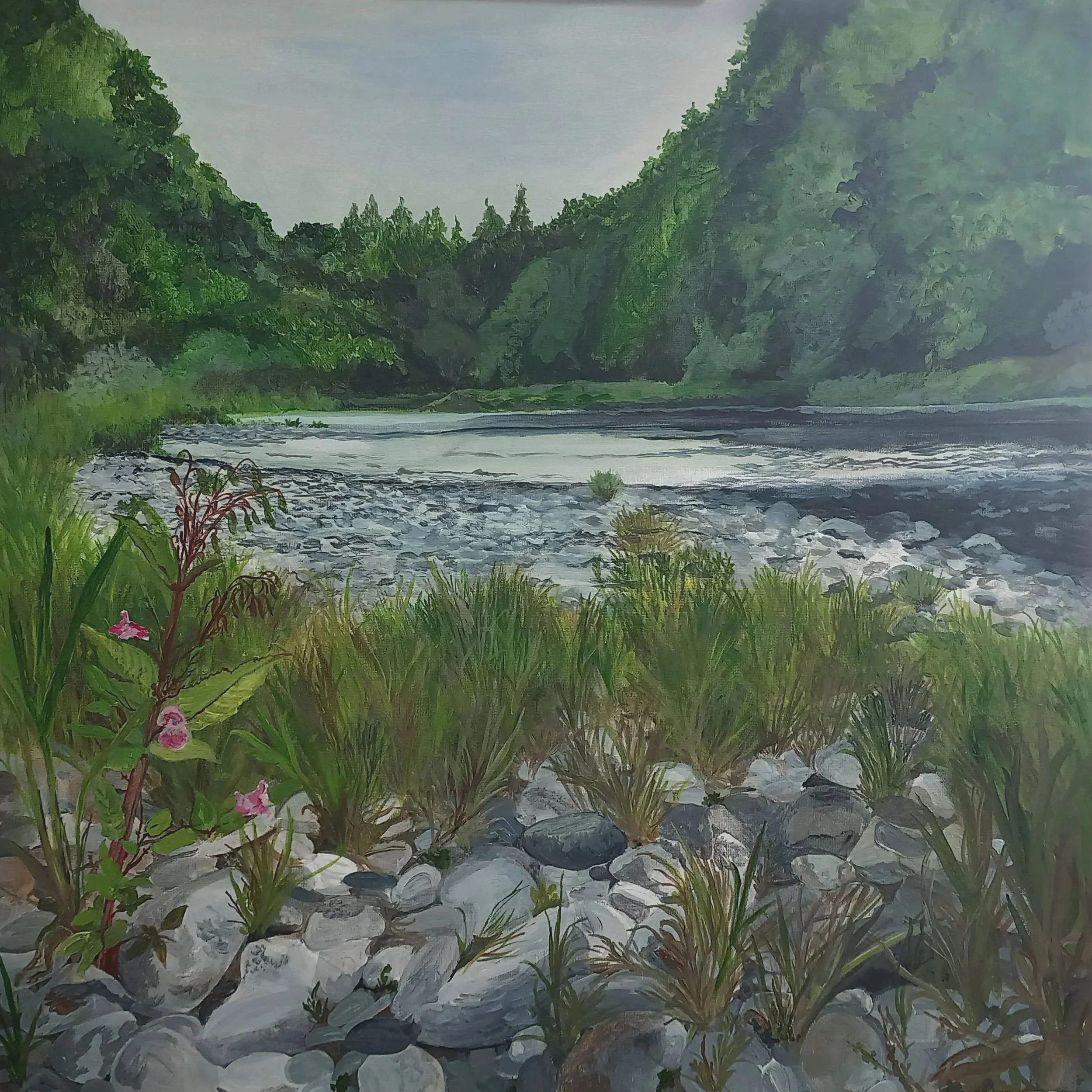 Large square canvas of an acrylic painting showing a river bankwith pebbles and wildflowers