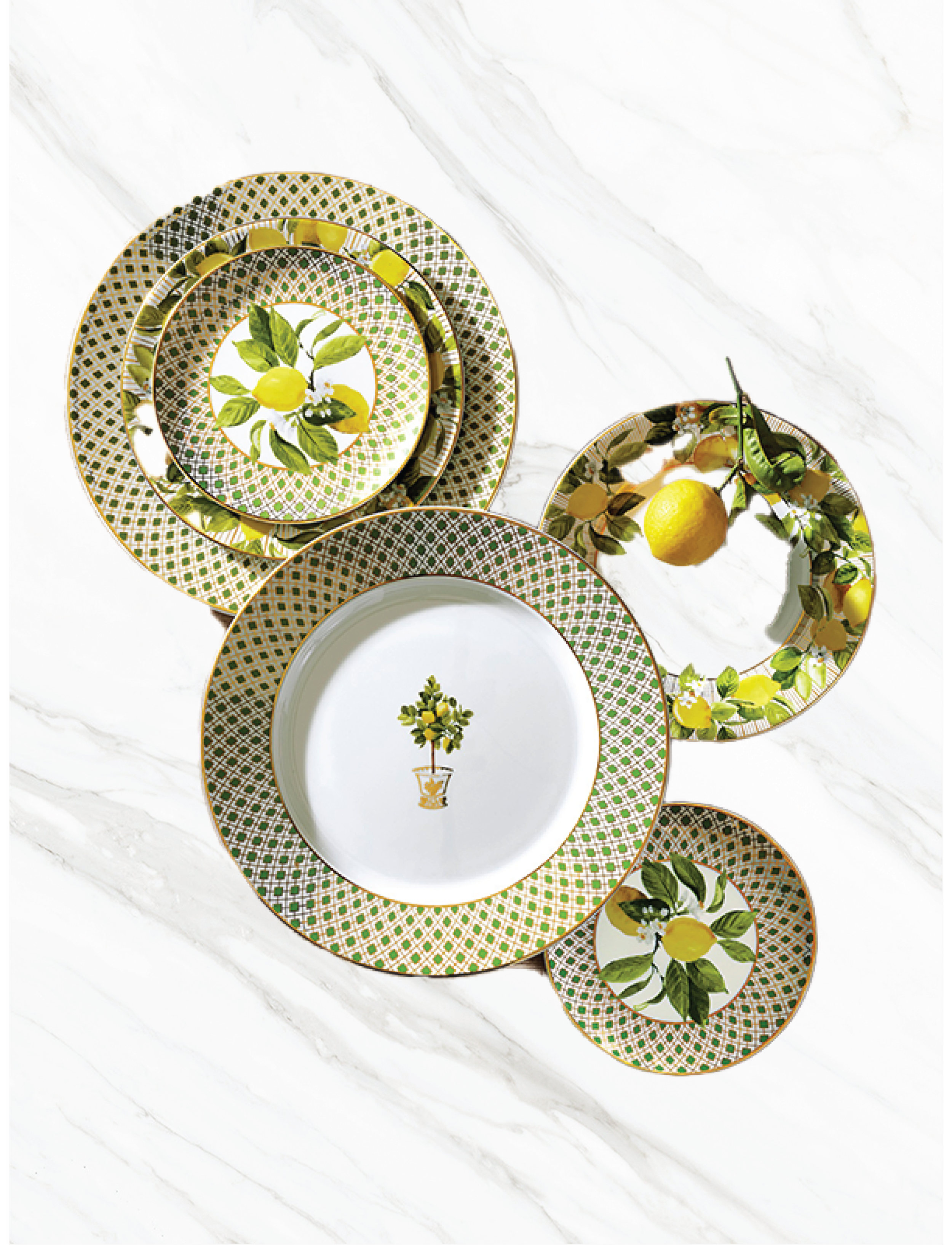 WILLIAMS SONOMA Limone Dinnerware Collection