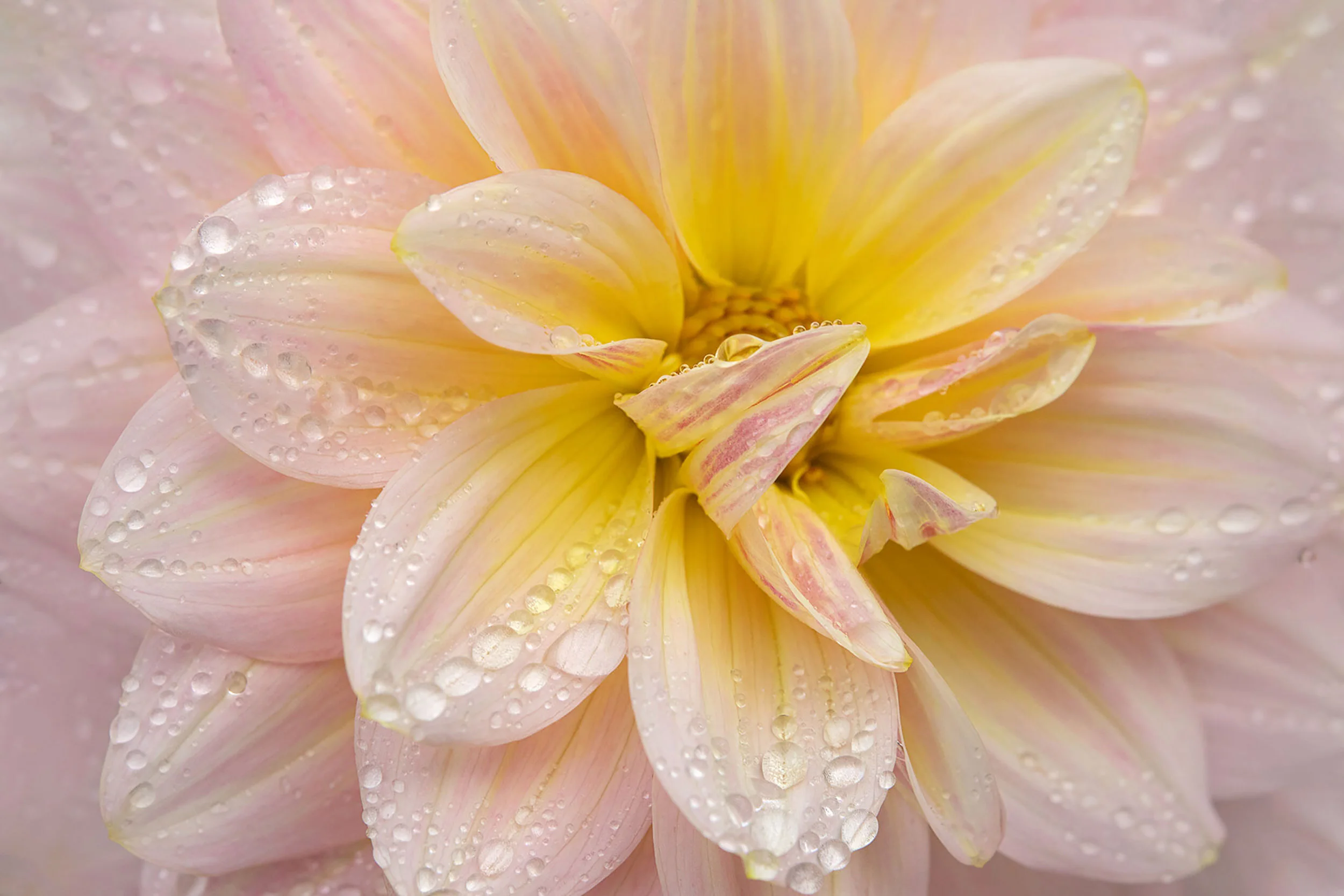 About Kathleen — Kathleen Clemons