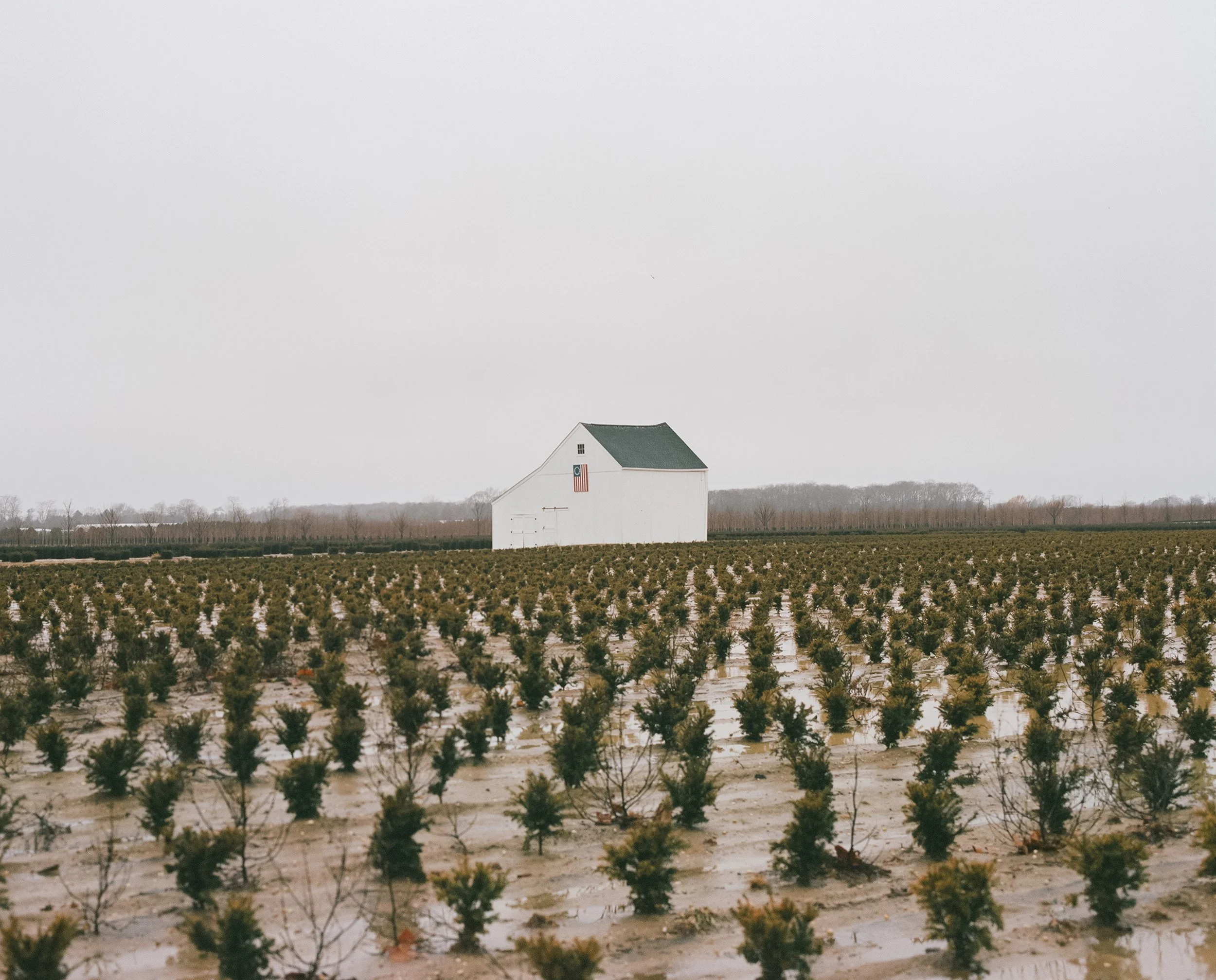 Barn in Field | Long Island, New York | 2025