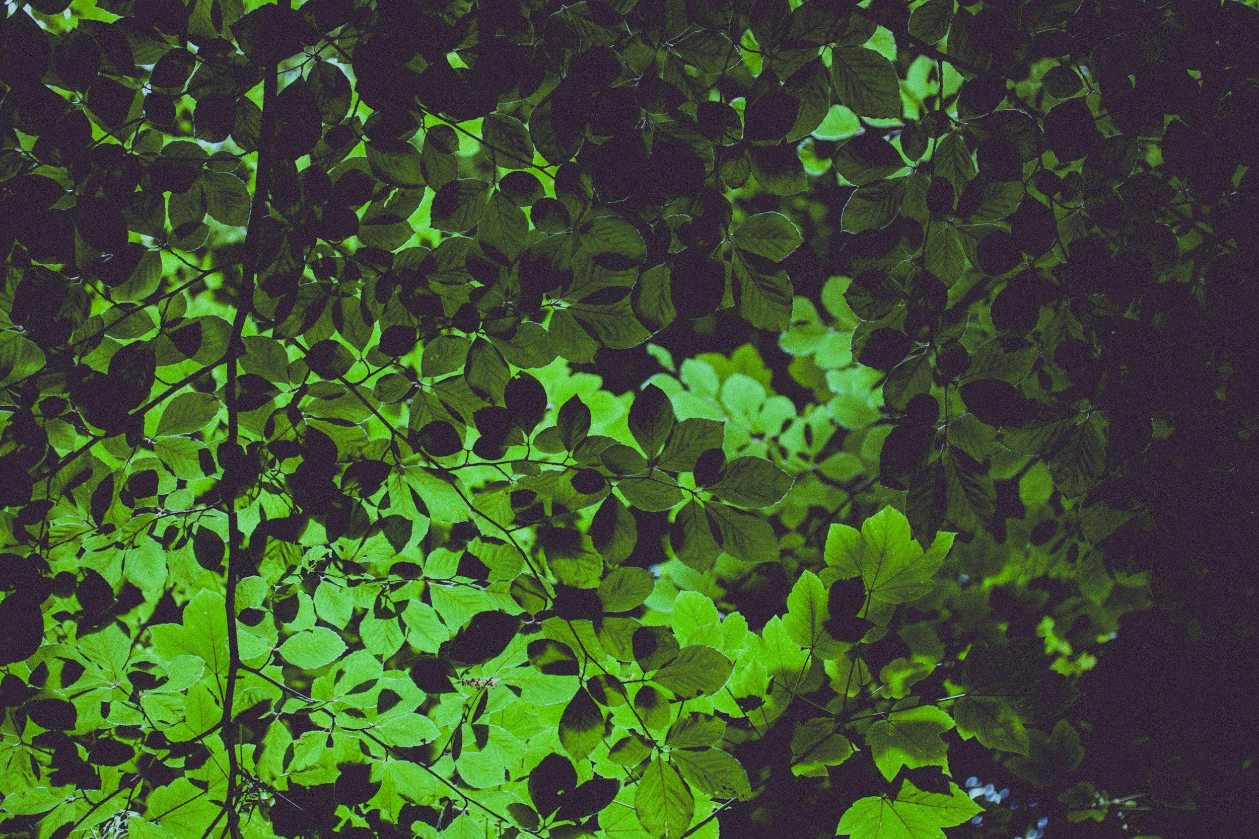 Making Peace with Stress: Tools to Help You Breathe Easier
