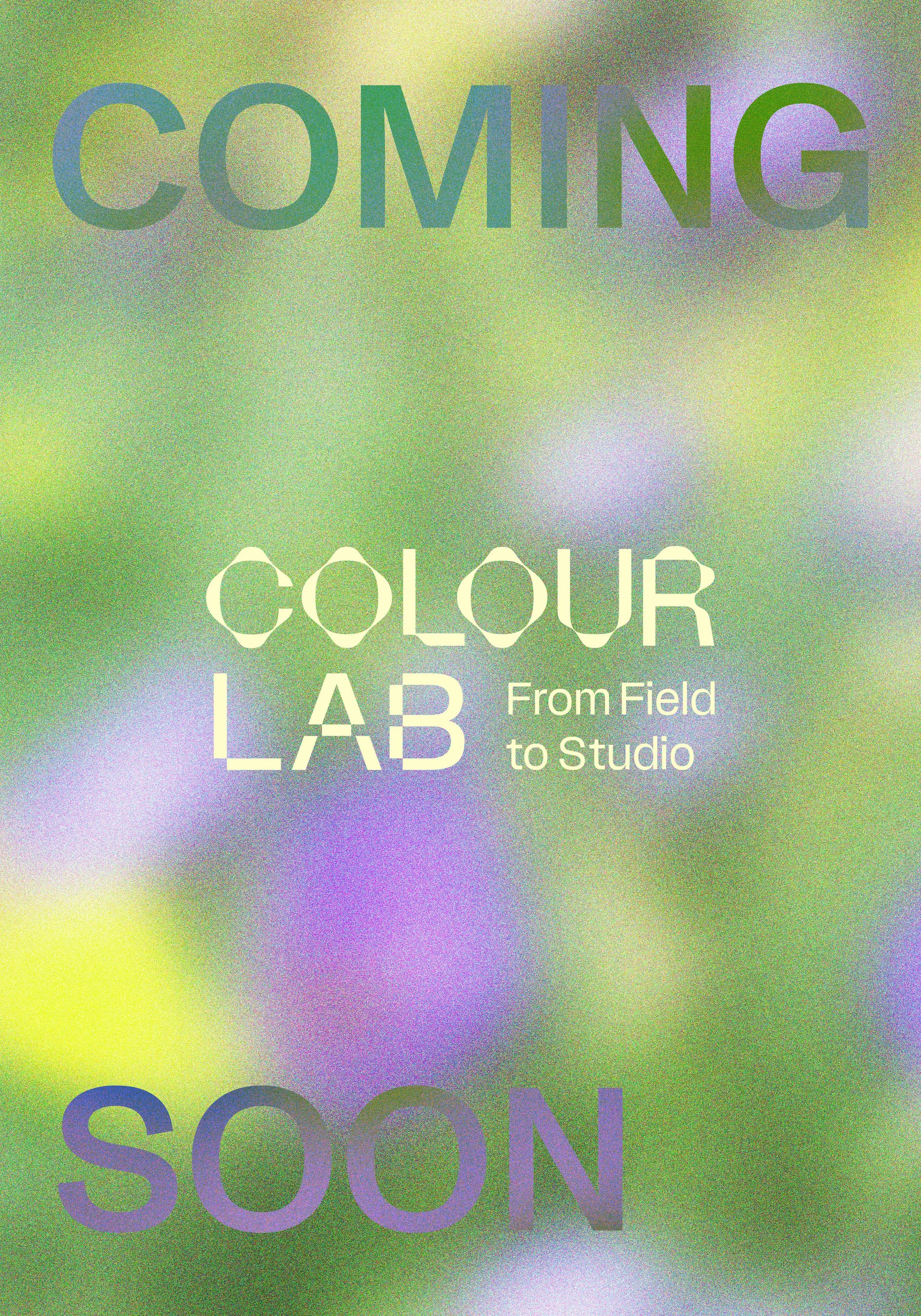 ConsciousMade_COLOUROFSAYING_COLOURLAB_LDF_300X430mm_WorkLanding_FINAL4 copy.jpg