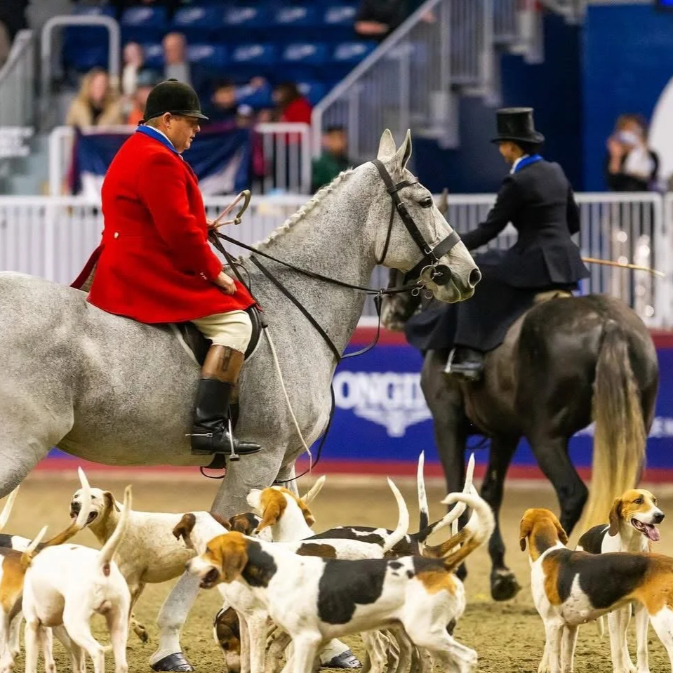 Royal Agricultural Winter Fair 