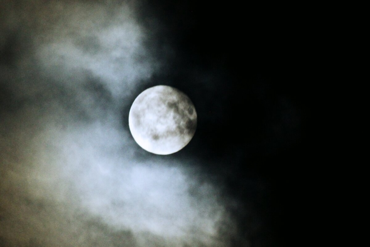 Bad Moon by Claire Askew