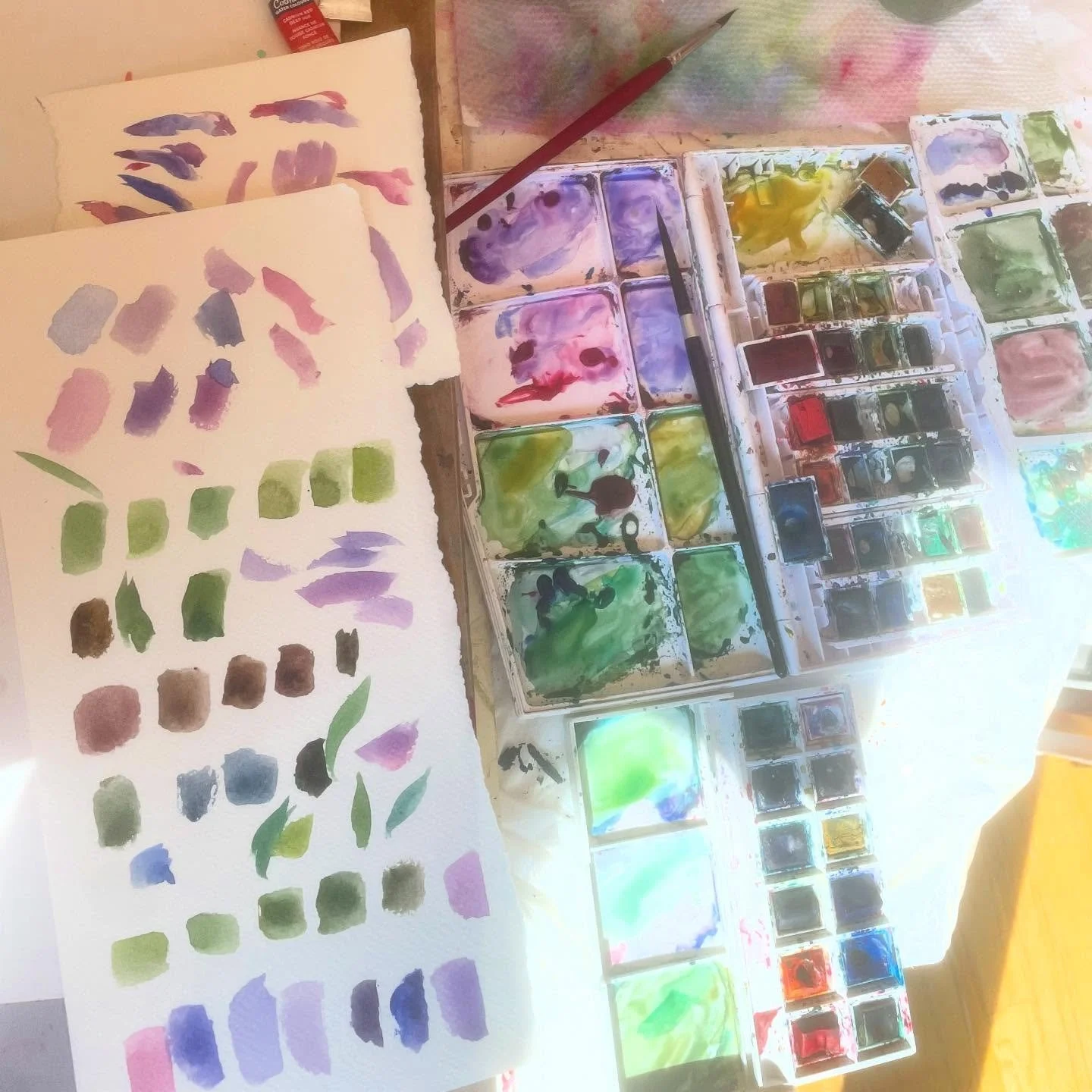 Searching for just the right color palette 
💜💚 I found it pays off to take some time to do the prep work, get the rough colors mixed up, it will change as I go but the basics are there, in the end it helps the overall painting come together. #water