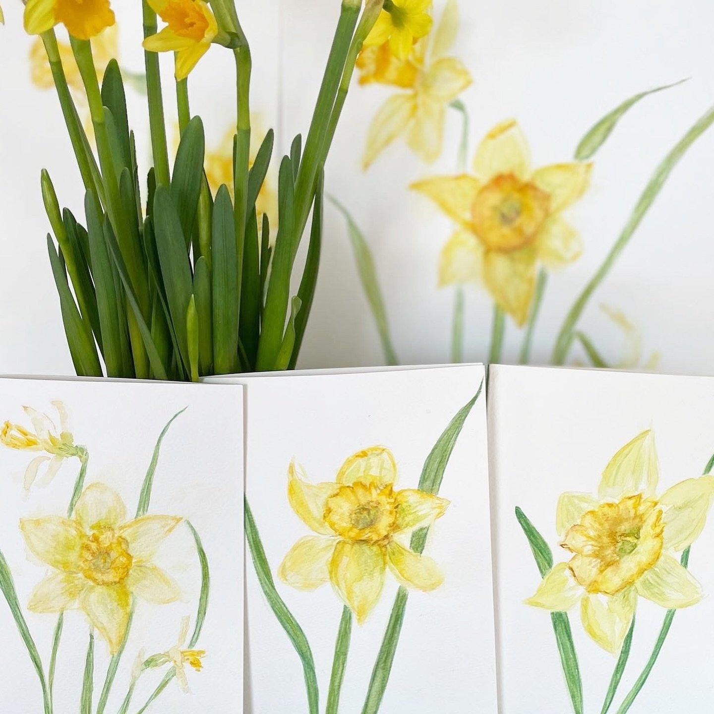 Restocked March Cards! When I see daffodils, I&rsquo;m happy and I know spring is on the way soon! 😊 &ldquo;IT&rsquo;S A GOOD DAY&rdquo; sung by Peggy Lee goes perfectly with my fun inspiring daffodils 🌼. This flower was my most challenging so far!