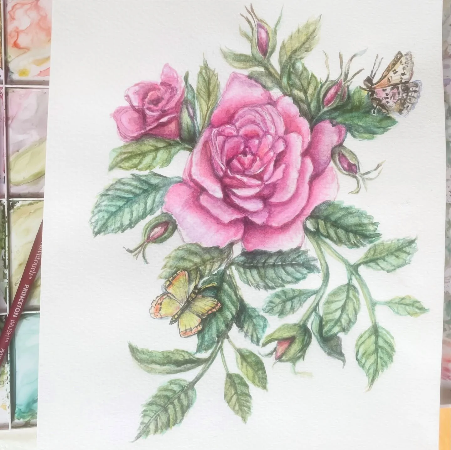 Something new&hellip; Proud to see this come to life! I&rsquo;ve been focusing on improving the details, since I had lots of time on my hand these last few weeks in the bitter cold in CT. Formula - sketch, watercolor a light base layer, let dry, &amp