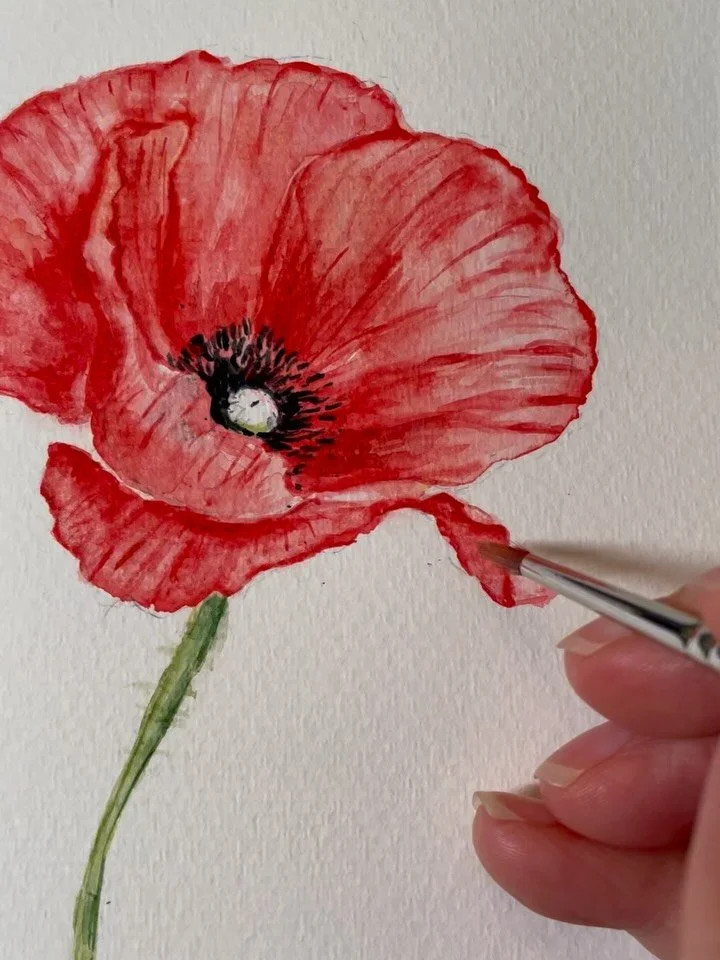 ❤️August Birth Flower &lsquo;Poppy&rsquo; from secret language of flower represents faithfulness &amp; integrity.

❤️Purchase watercolor cards in 3 local stores 
In Ridgefield CT
@bellahomeridgefield &amp; @109cheese 
And in South Salem, NY @gossettb