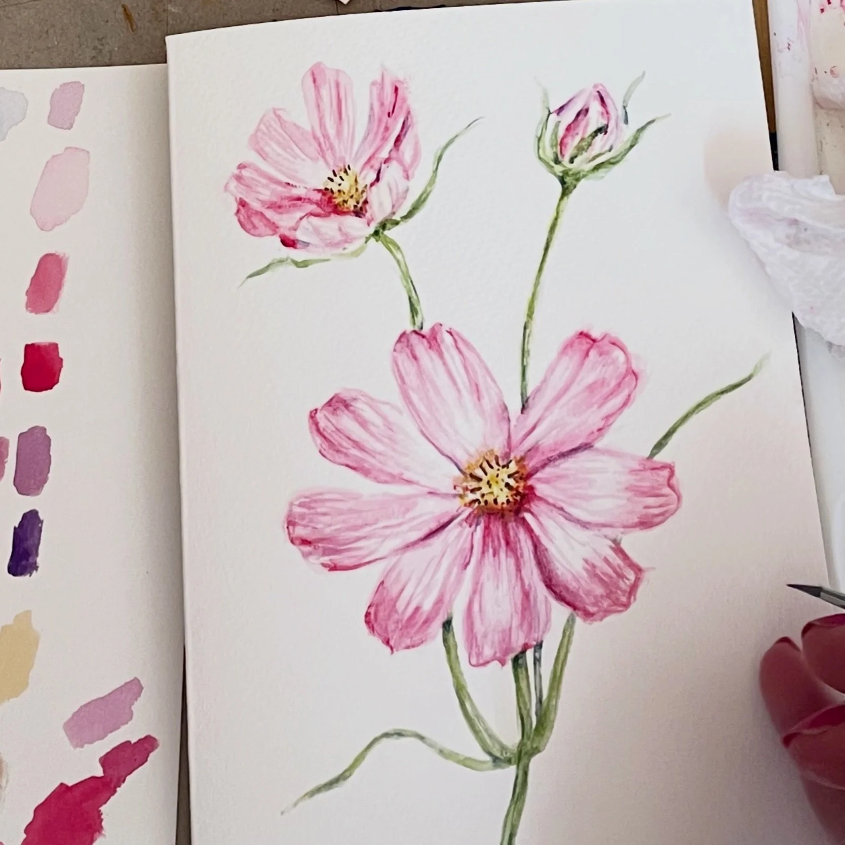 A delicate Cosmo for the October Birth Flower. I enjoy learning there are many different colors &amp; variations Cosmo flowers.

#watercolorartist #watercolorflowers #cosmoflower #watercolorbotanicals