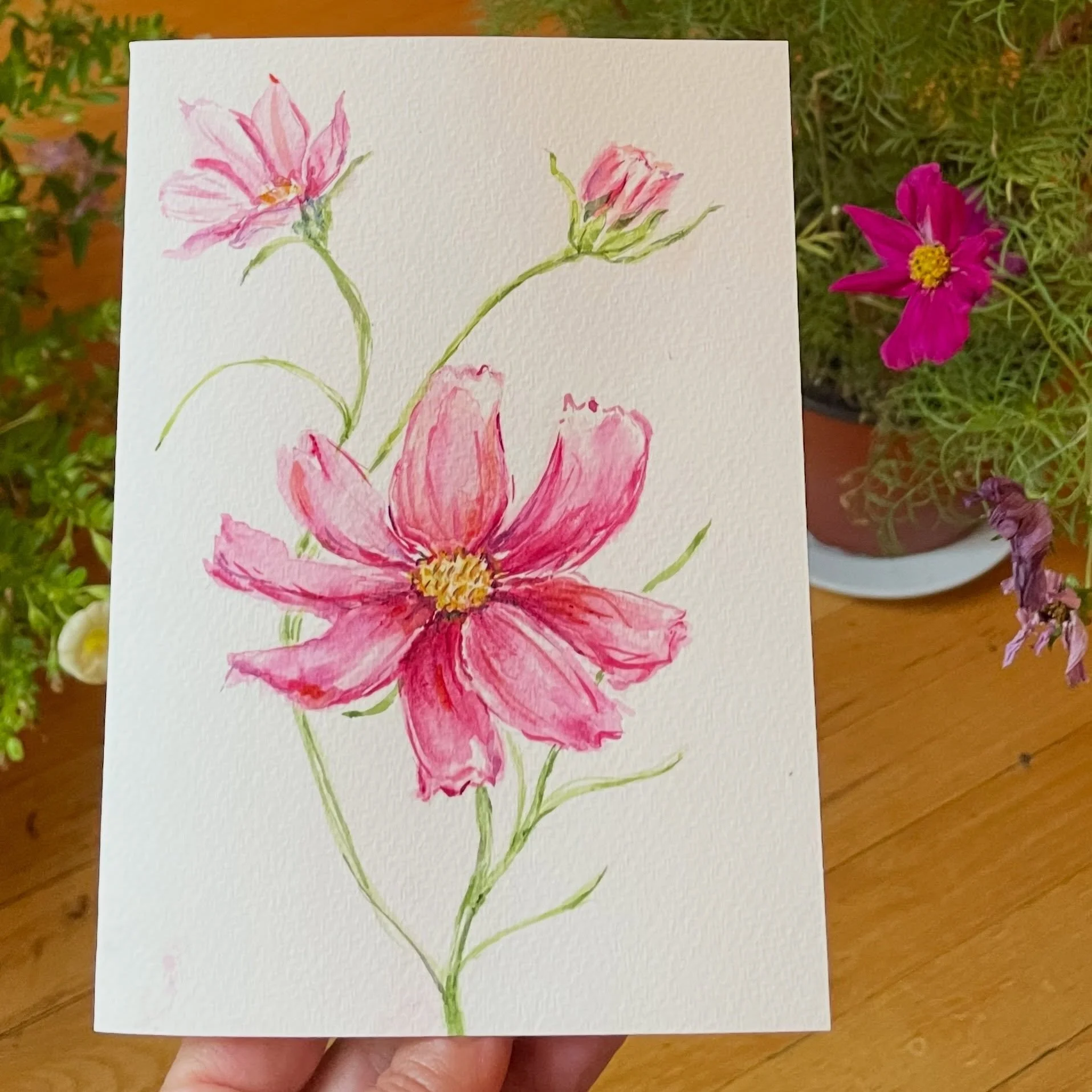 A dancing Cosmo for my Number 3 Study of October Birth Flower. To help improve my watercolor skills, I painted many versions of Cosmos, until I got the right one for the collection of 12 birth flowers. This one didn&rsquo;t make the final, yet I stil