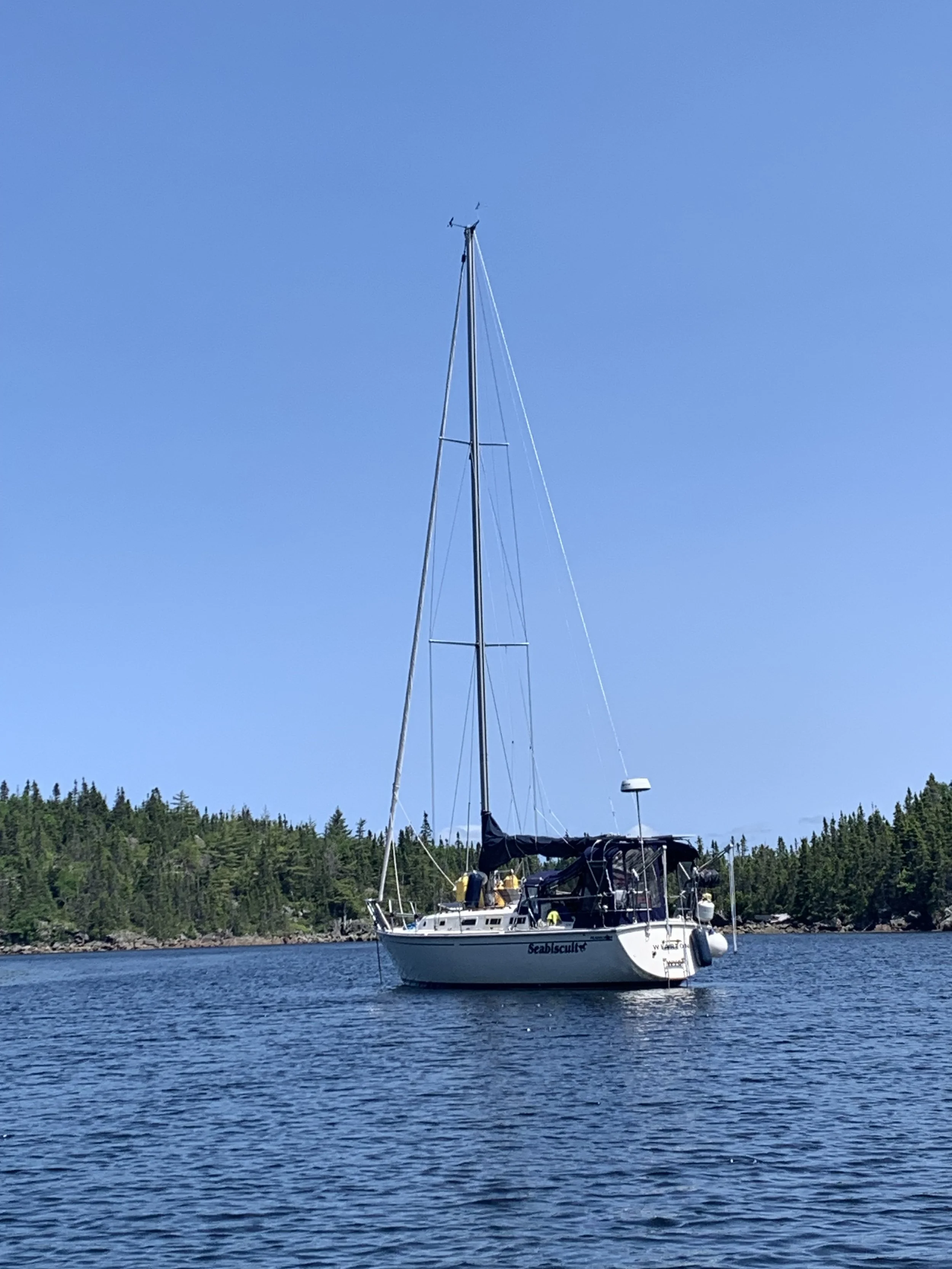 Back to The Pocket — Tickles & Bights