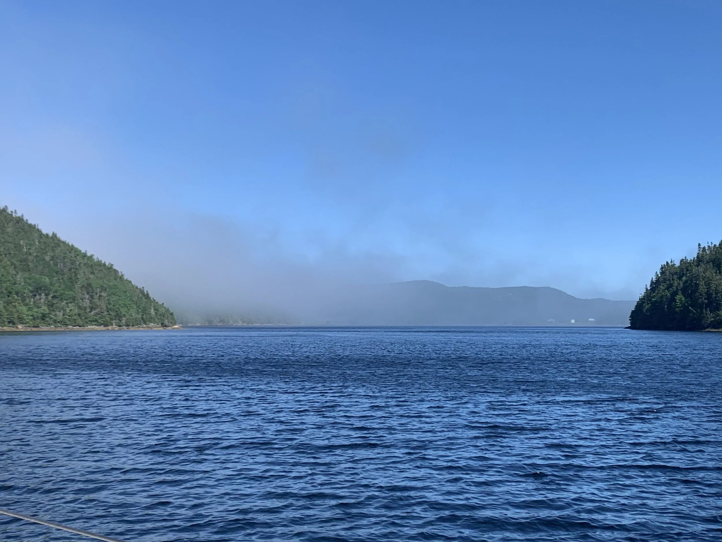 Back to The Pocket — Tickles & Bights