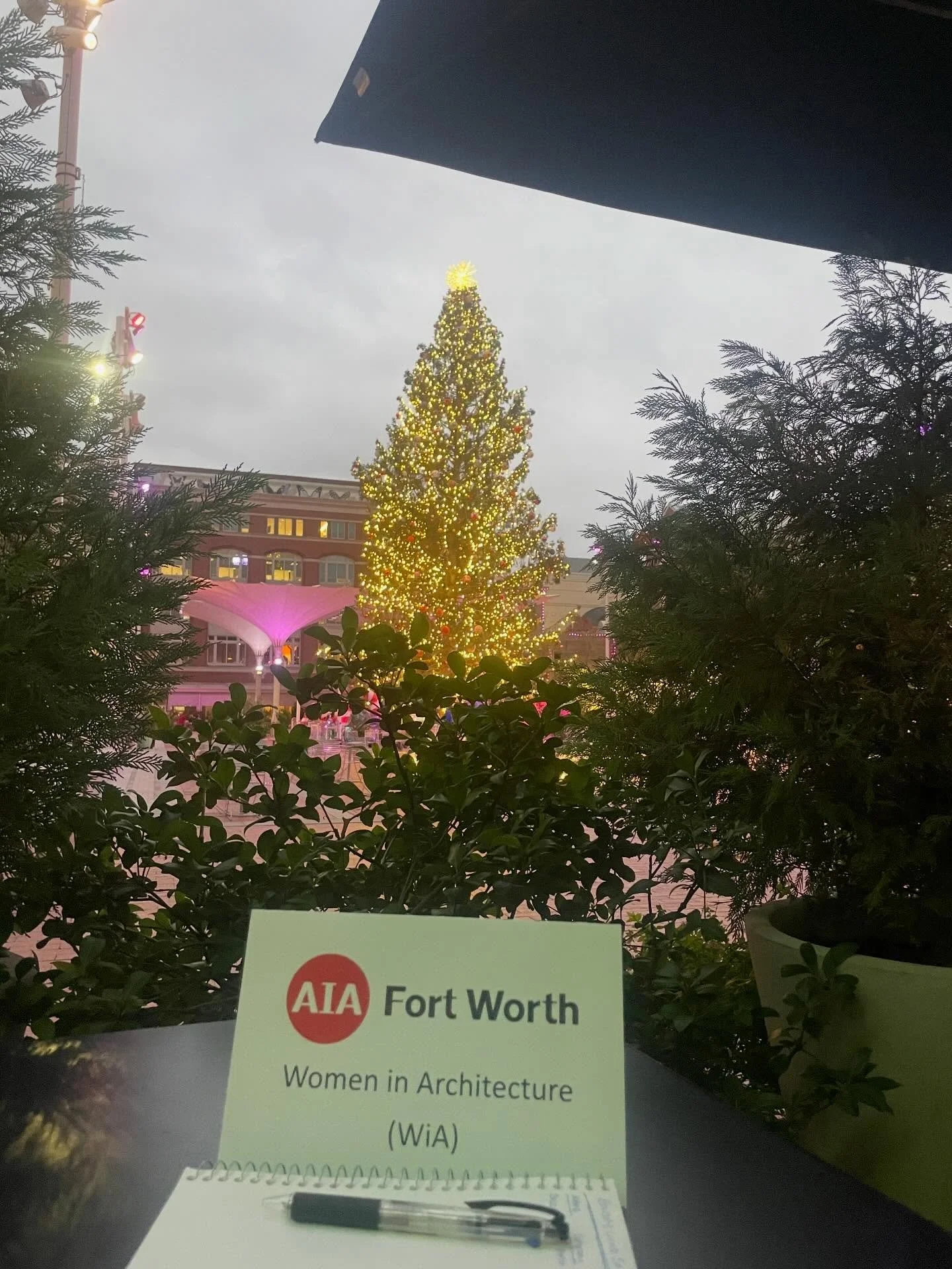 Have you checked out the lights at Sundance Square? Our #WomeninArchitecture committee went on a holiday lights sketch crawl last night 🎄

@sundancesquare