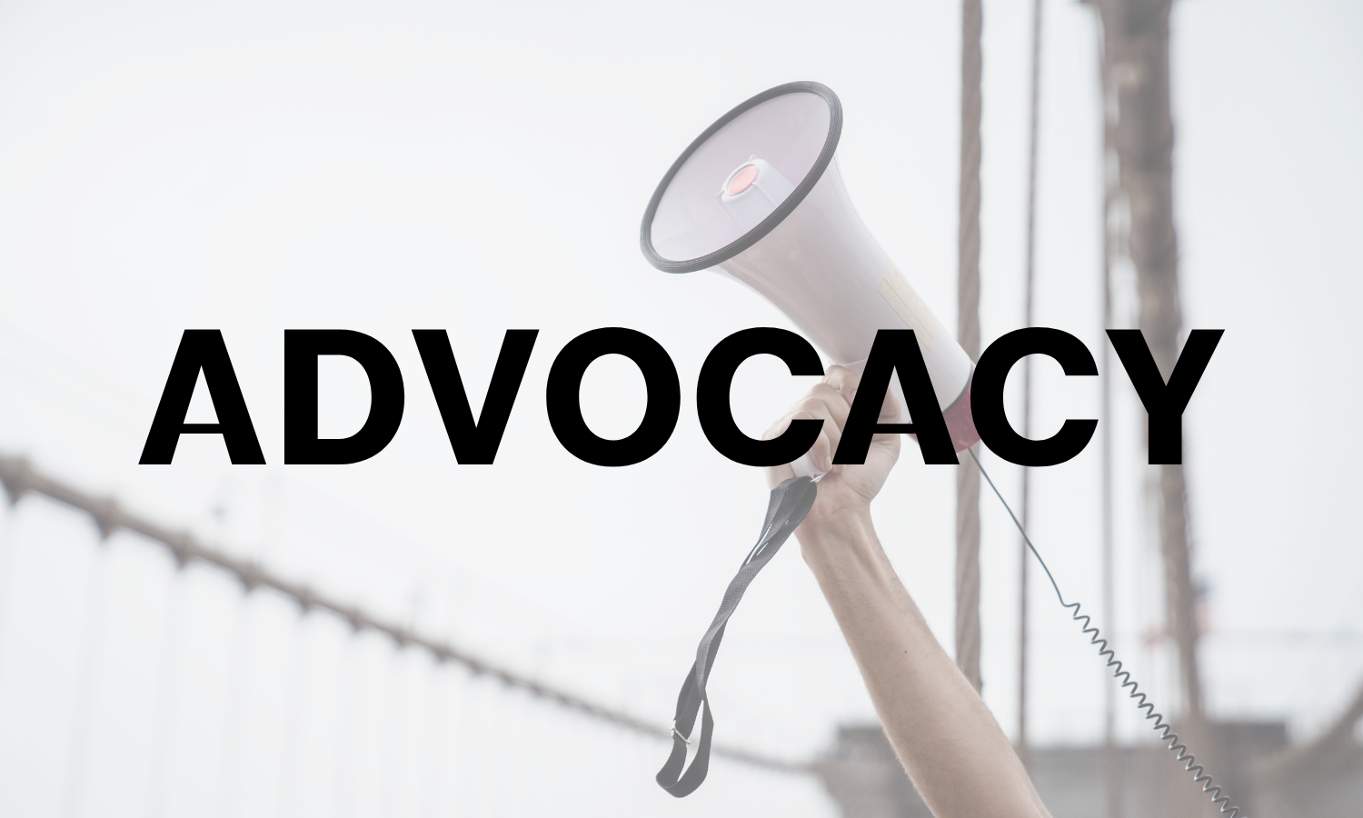 advocacy