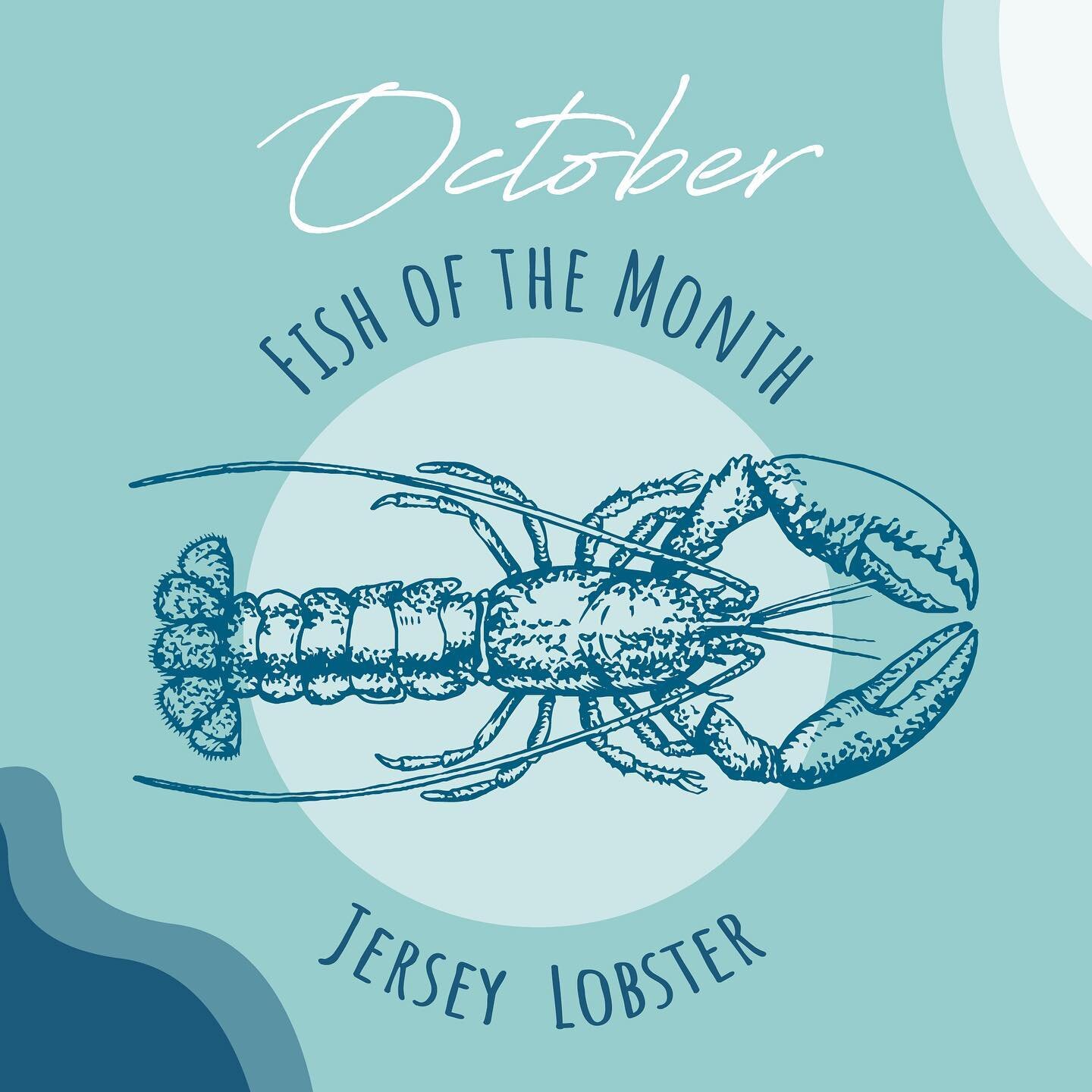 Back on the menu! 🦞 A Jersey favourite, this October lobster is our #fishofthemonth⁠
⁠
Lobster are abundant all year round, and while technically the lobster season never actually closes, there are certain times of the year where female lobsters are