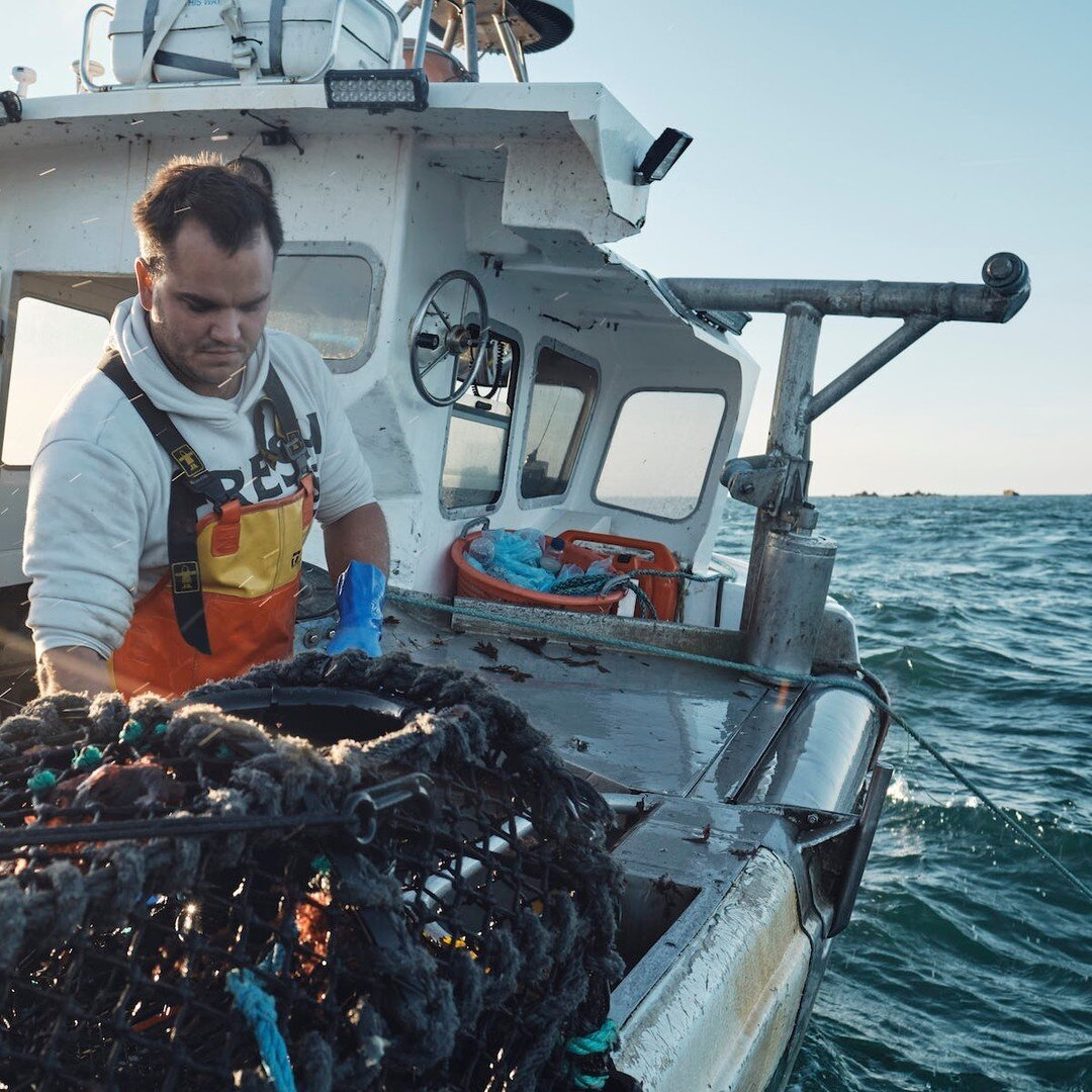 All lobsters in Jersey are caught by potting &ndash; a static, low-impact method of fishing. The most popular type of pot used to catch lobsters are called parlour pots, which are so-called for the &lsquo;parlours&rsquo; that hold the lobsters once t