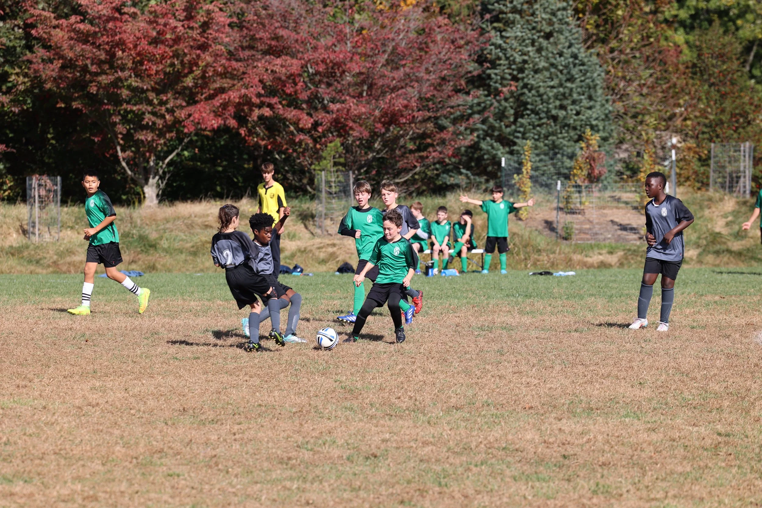 Tournament - Game 1