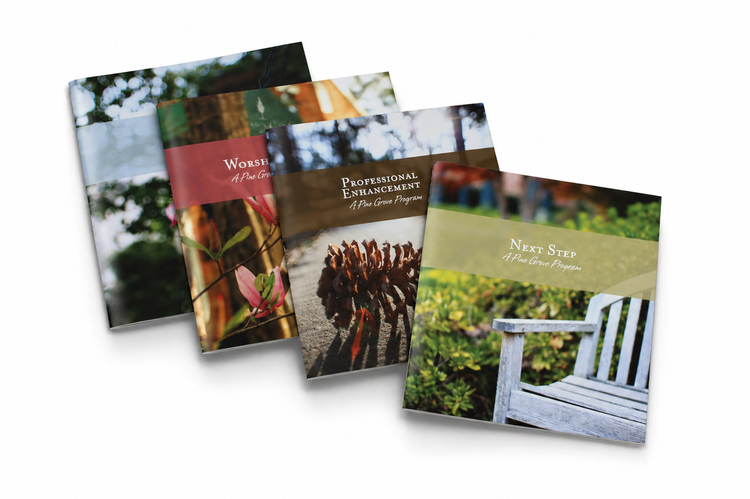 Designed set of 4 Coordinating Brochures