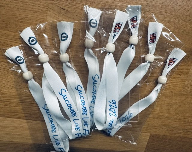 wristbands1.jpeg