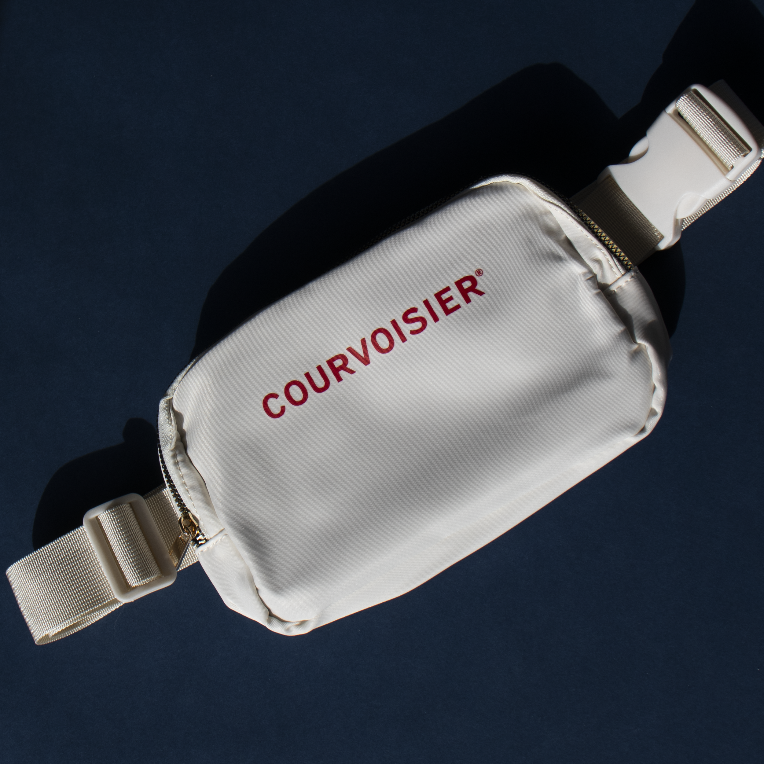 COURVOISIER FANNY.png