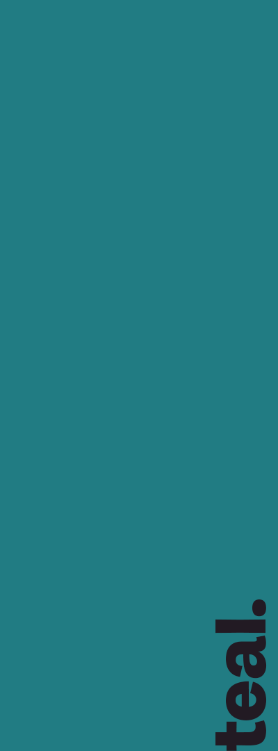 Branding_colourblocks_teal_v01.png