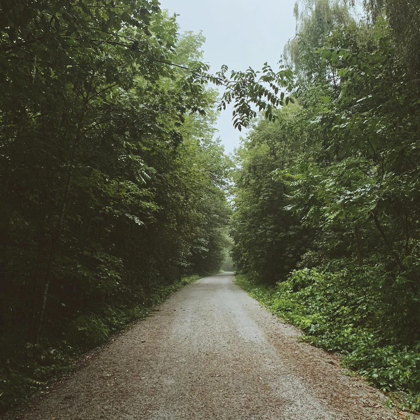 Sunday Sabbath ~ August Storms 

//

Sunday evenings have been tough times for me.  Transitioning from a bursting week of structured solo parenting to a burgeoning week of flowing solo time. 

Yesterday I chose to lean into the void that often emerge